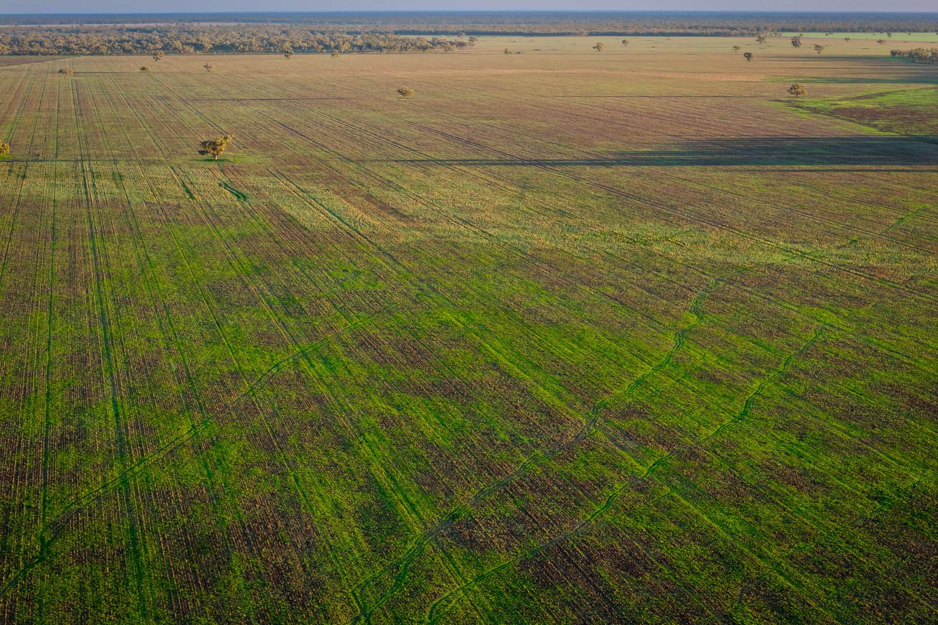 7856 Carinda Road, Gungalman Auction by Farmbuy.com - image 15
