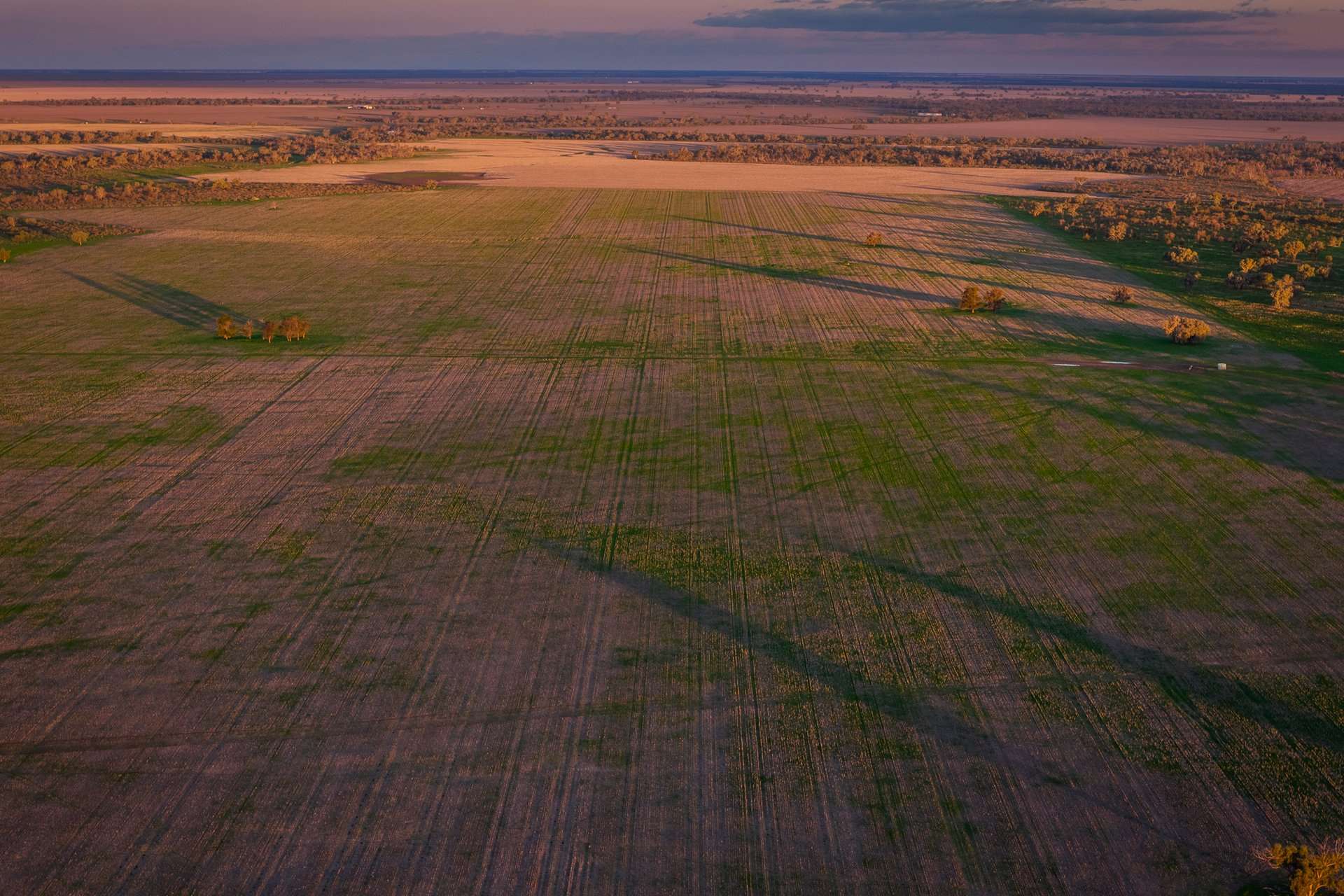 7856 Carinda Road, Gungalman Auction by Farmbuy.com - image 16