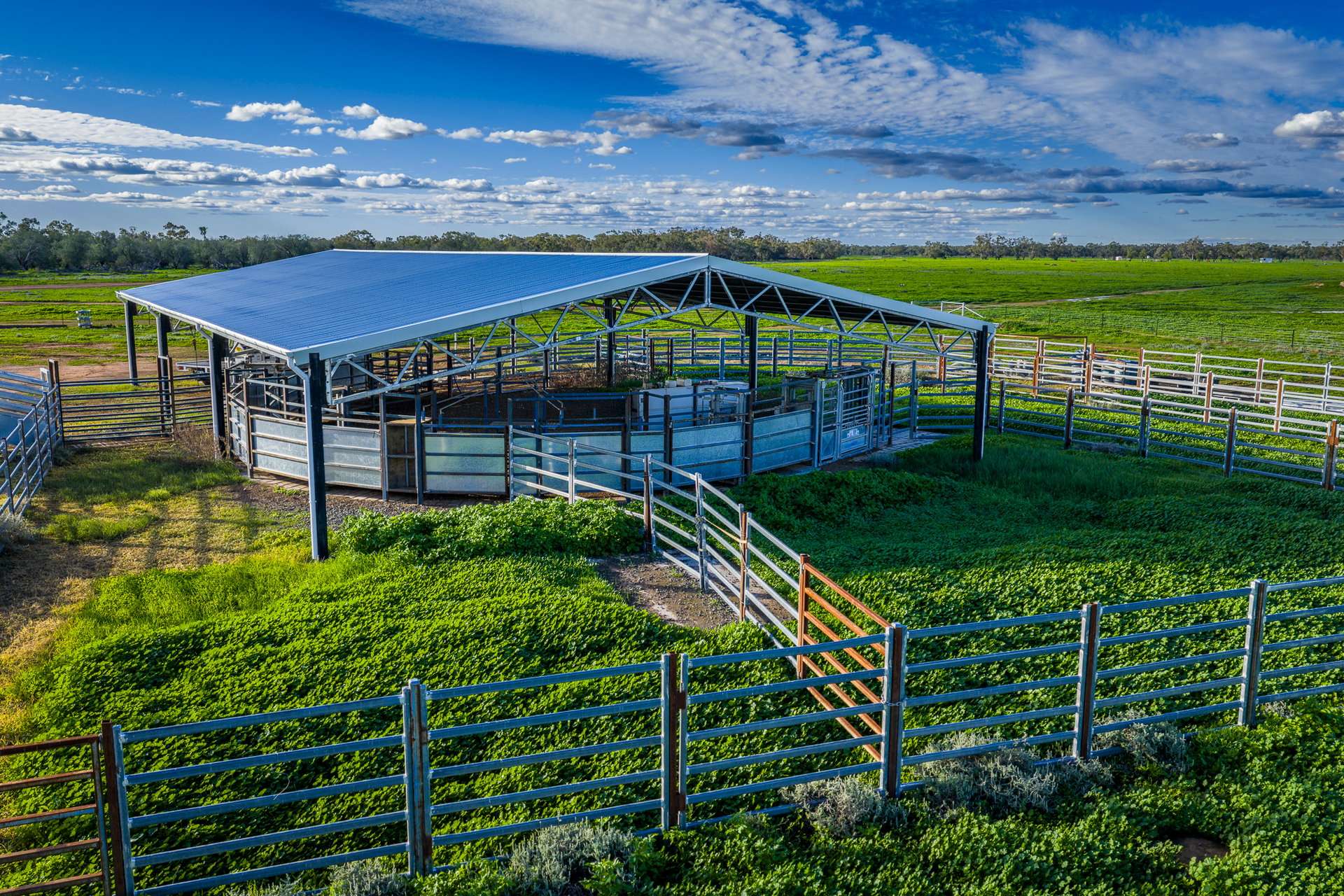 7856 Carinda Road, Gungalman Auction by Farmbuy.com - image 10
