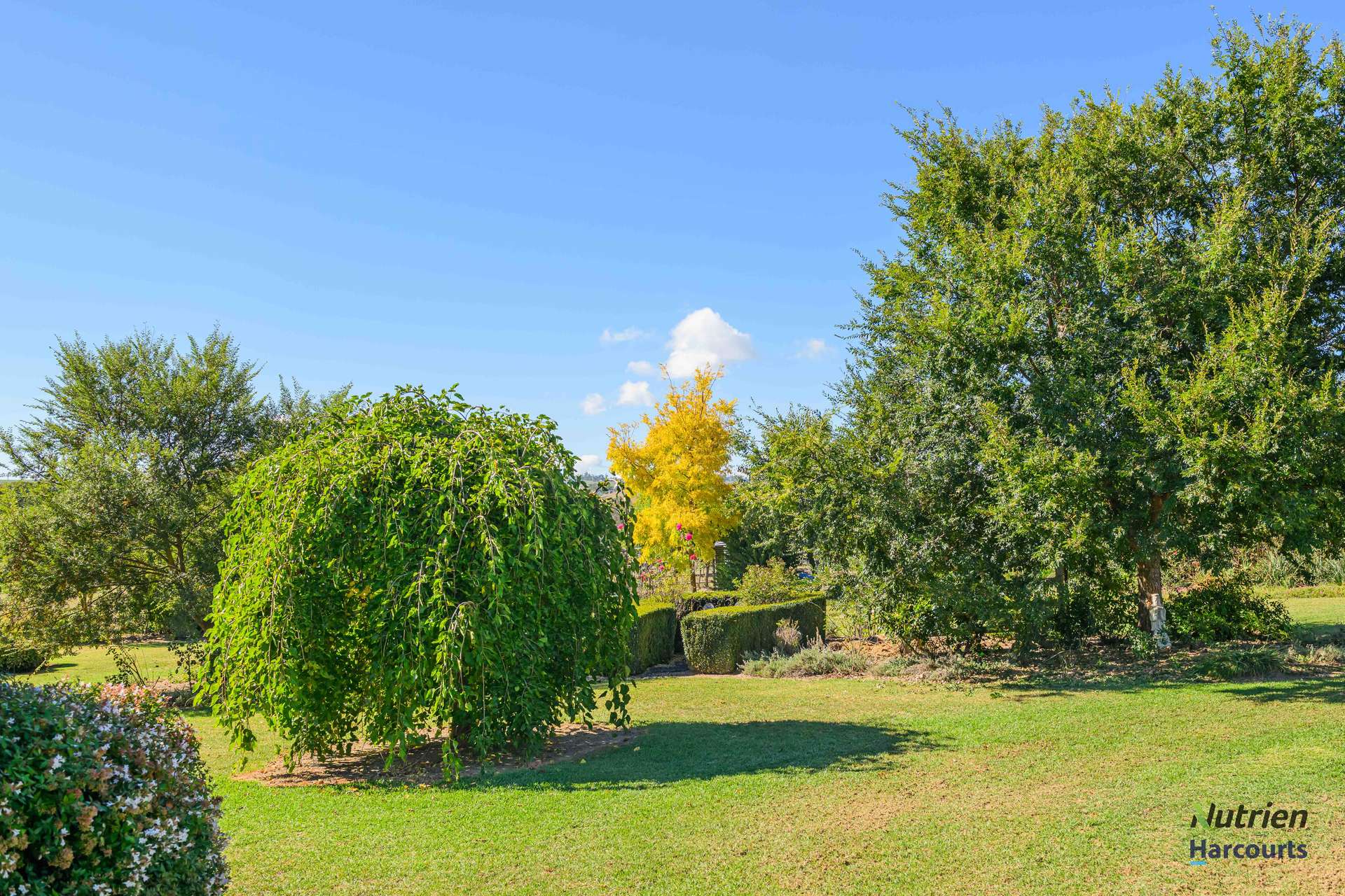 126 Aberbaldie Road, Walcha For Sale by Farmbuy.com - image 5