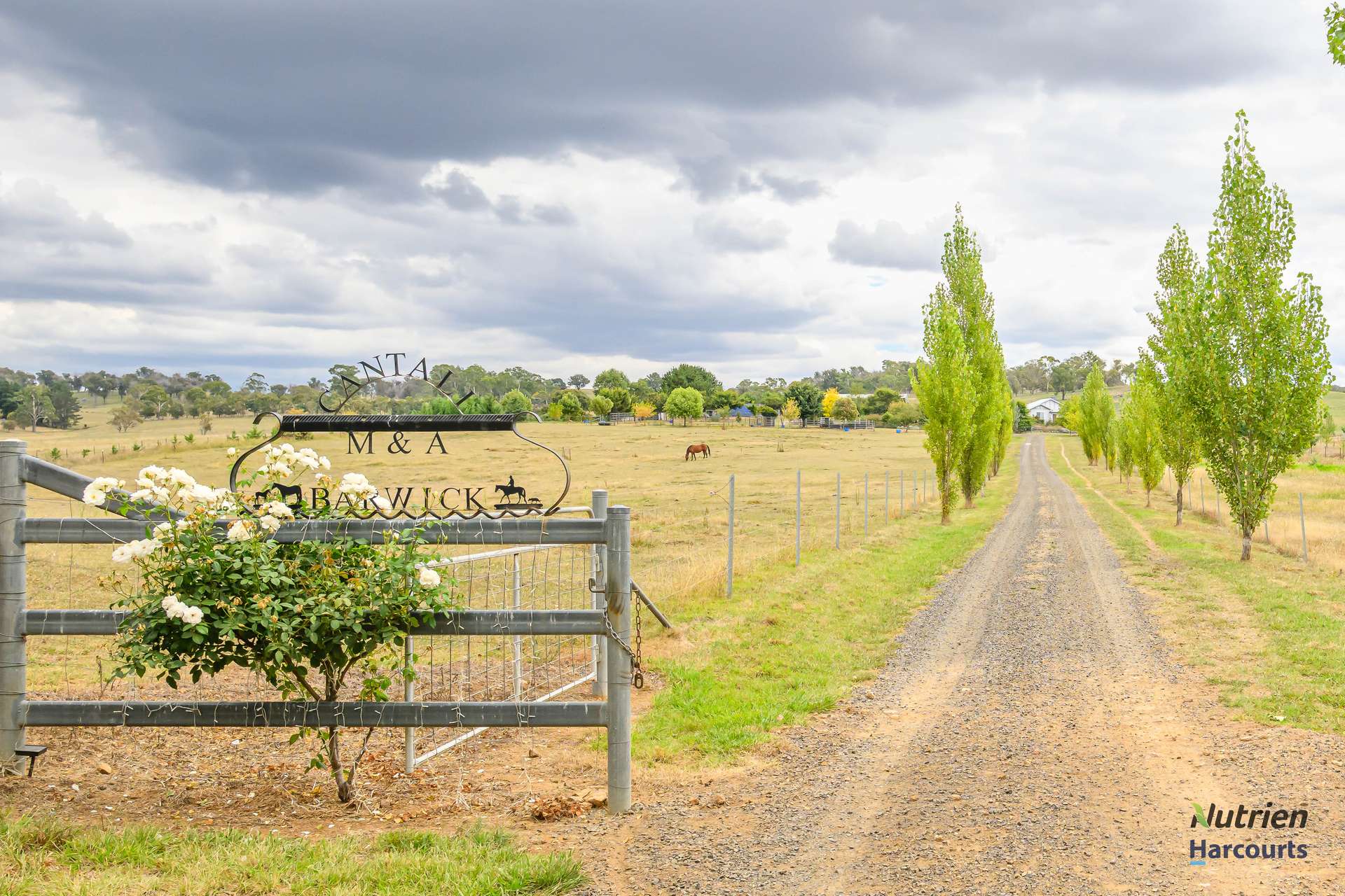 126 Aberbaldie Road, Walcha For Sale by Farmbuy.com - image 7