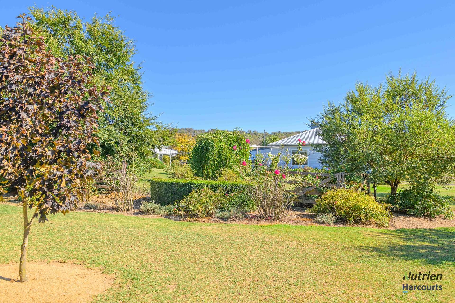 126 Aberbaldie Road, Walcha For Sale by Farmbuy.com - image 4