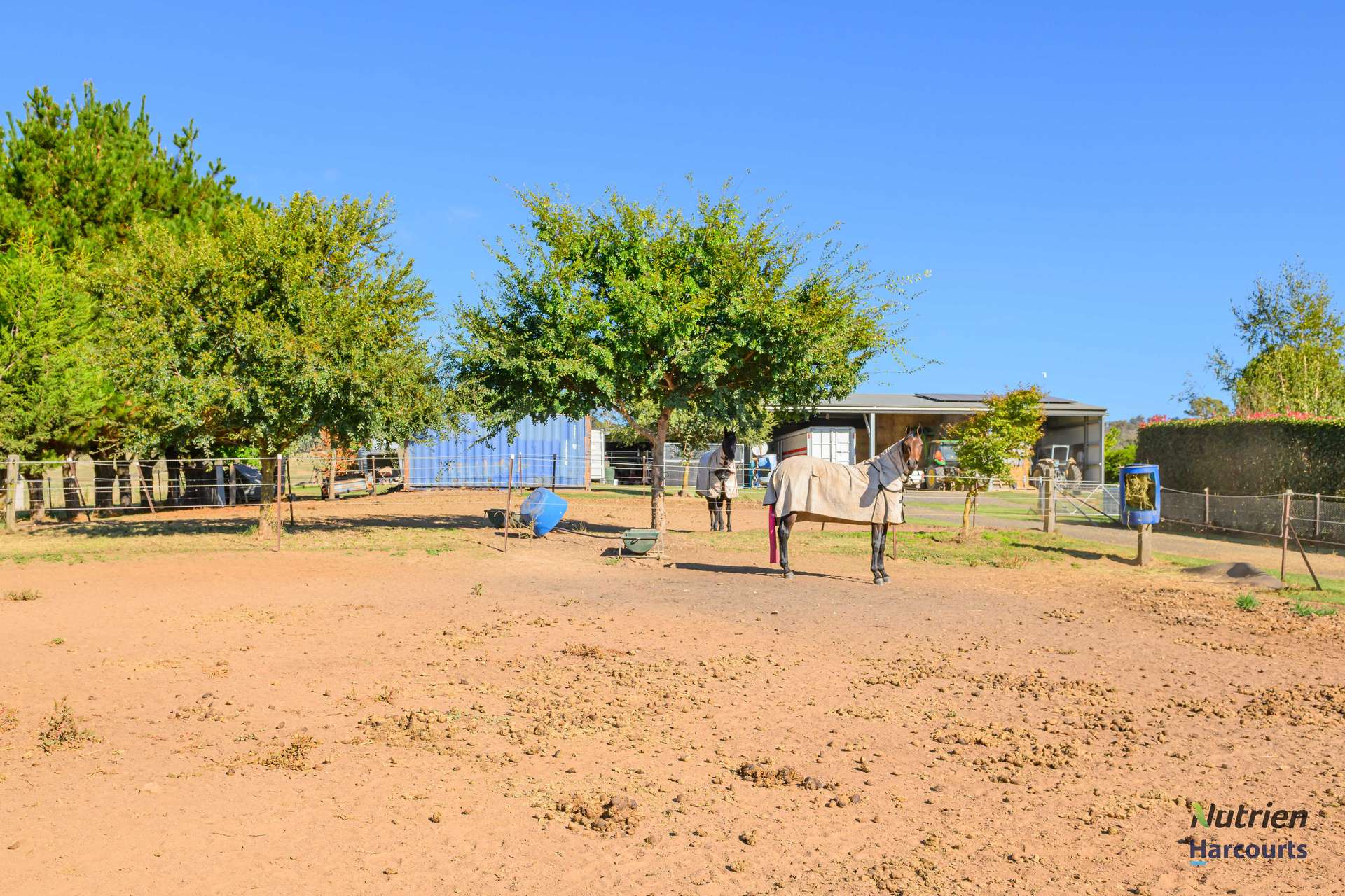 126 Aberbaldie Road, Walcha For Sale by Farmbuy.com - image 23