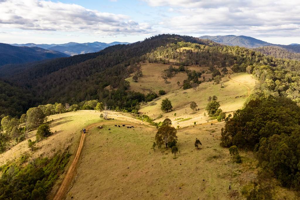 2685 Enfield Range Road, Cooplacurripa NSW 2424