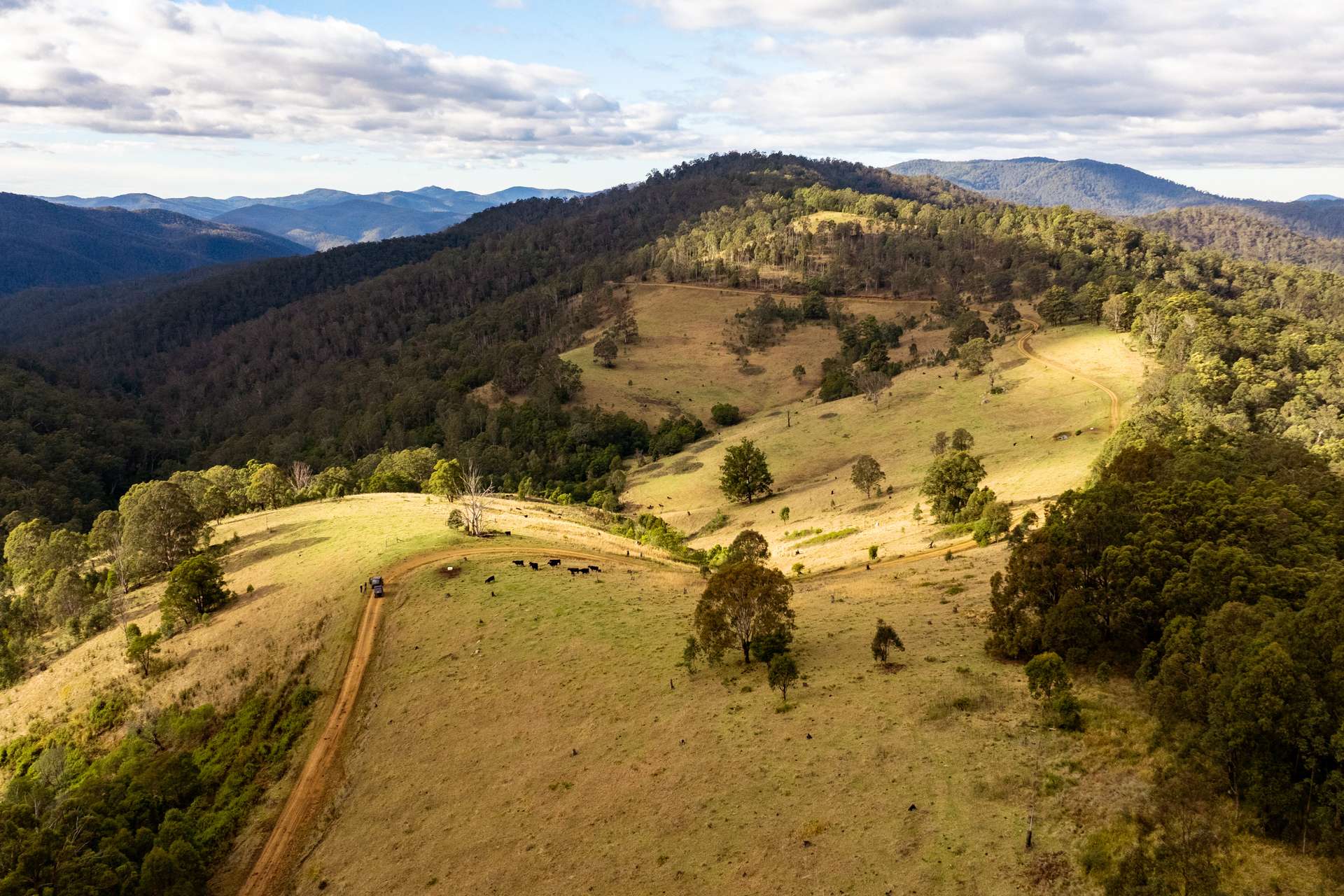 2685 Enfield Range Road, Cooplacurripa For Sale by Farmbuy.com - image 1