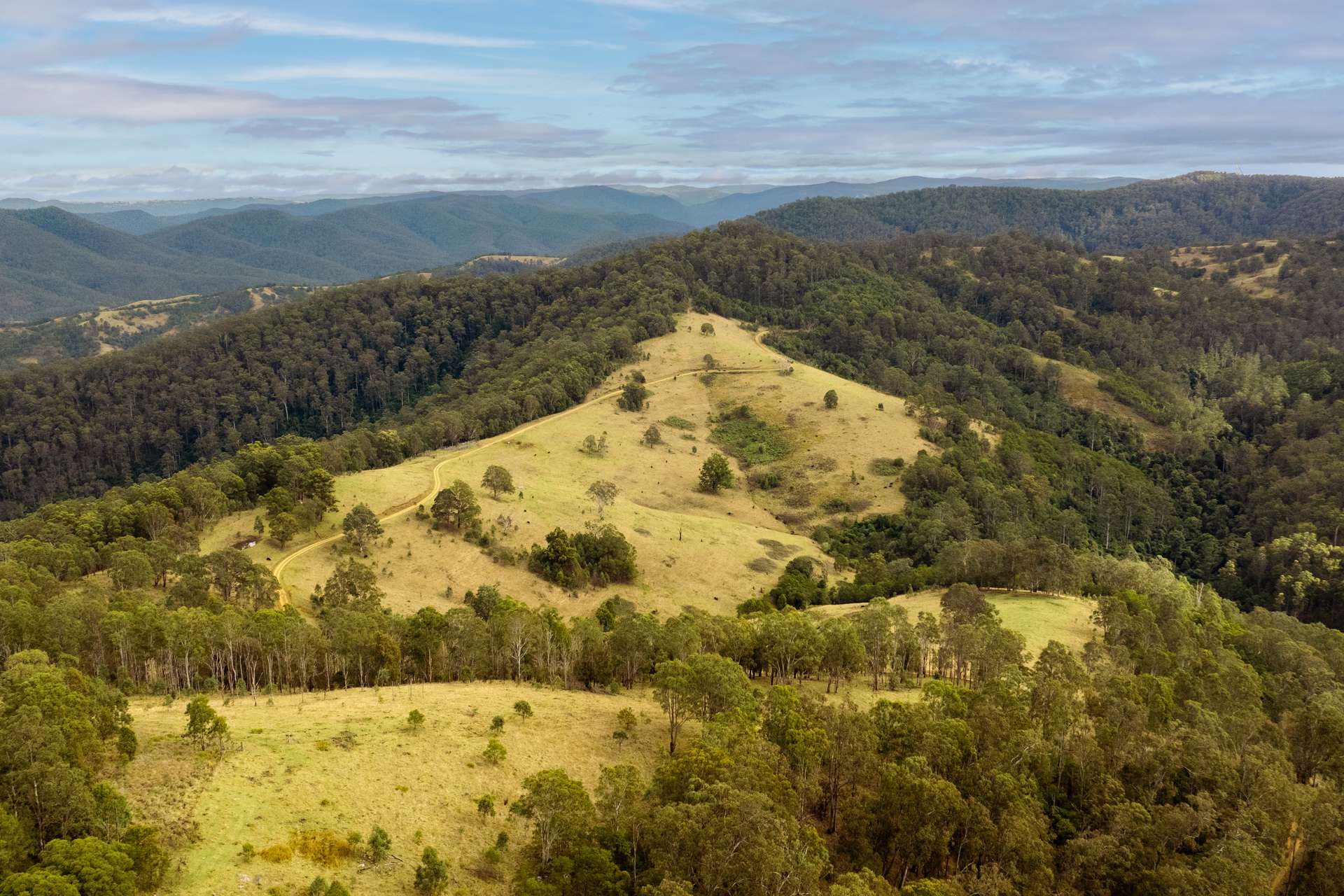 2685 Enfield Range Road, Cooplacurripa For Sale by Farmbuy.com - image 3
