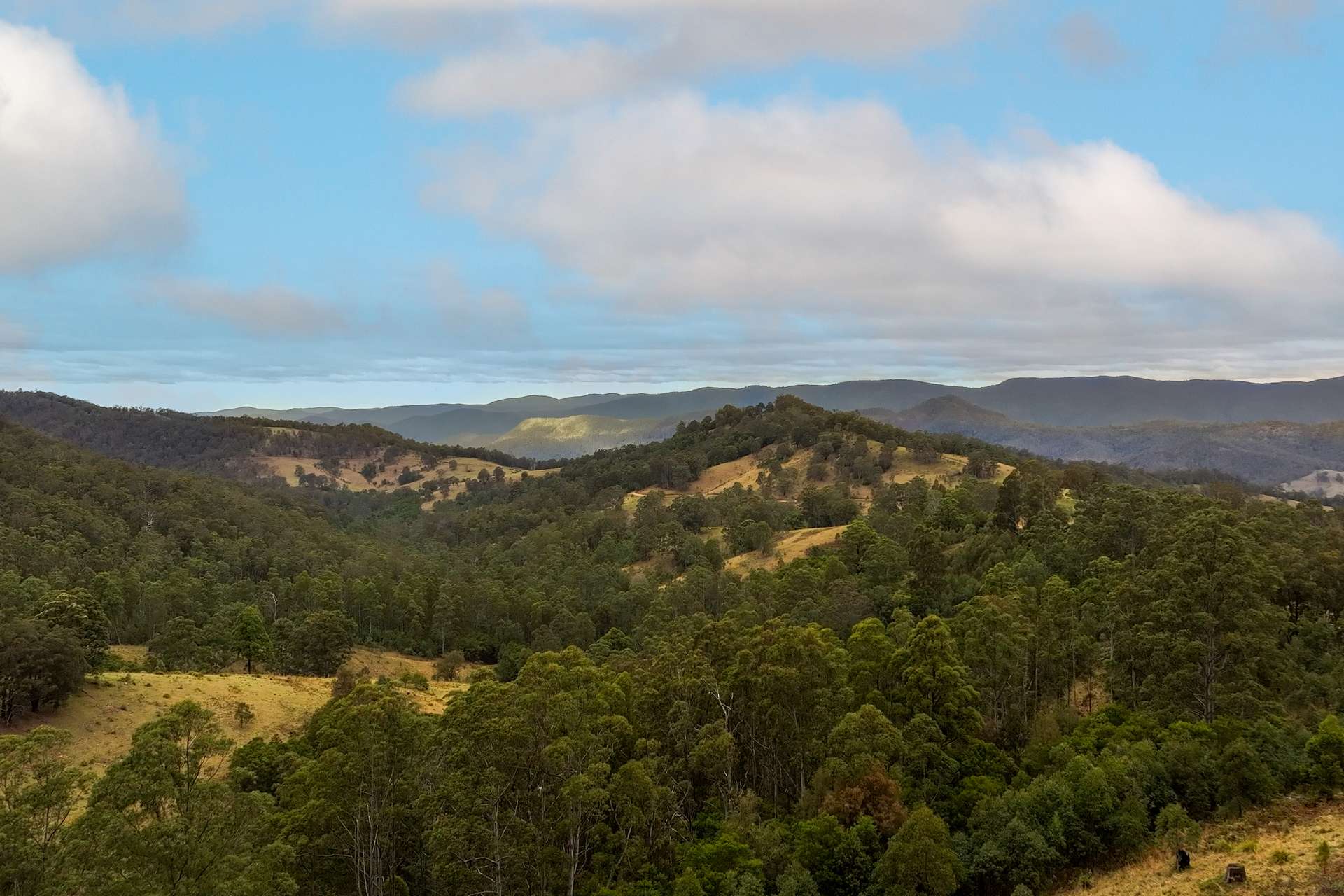 2685 Enfield Range Road, Cooplacurripa For Sale by Farmbuy.com - image 5