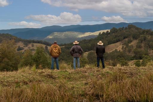 Farm For Sale - NSW - Cooplacurripa - 2424 - Crawfish Creek 
