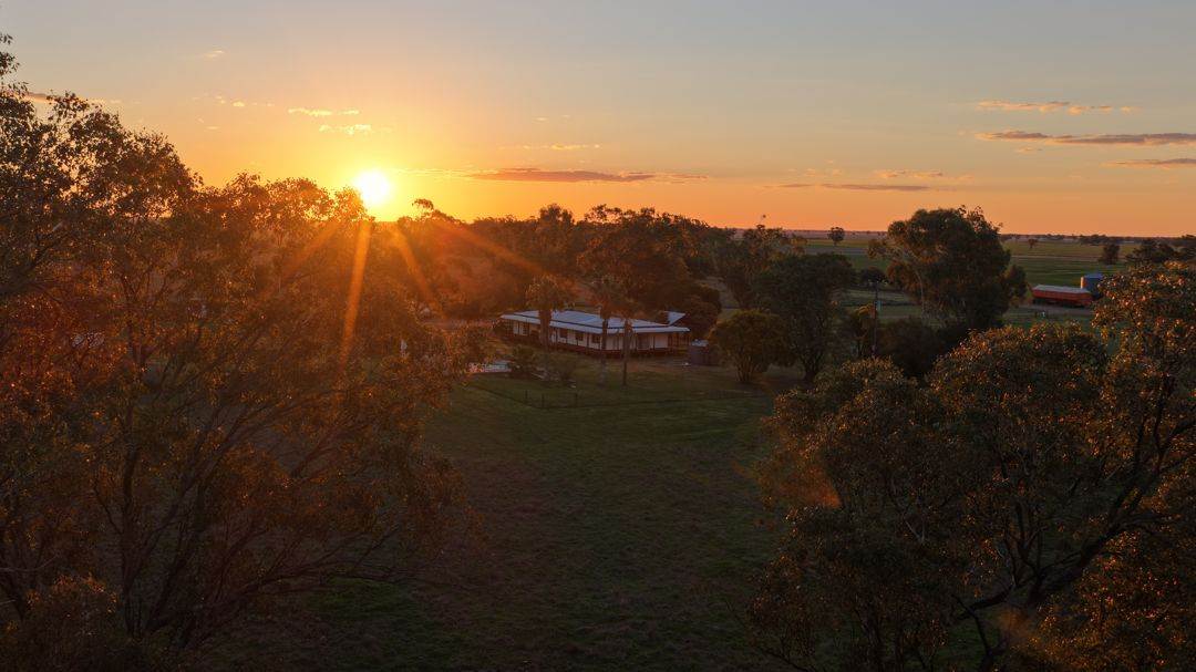 52 Cheecum Road, Moree Auction by Farmbuy.com - image 1