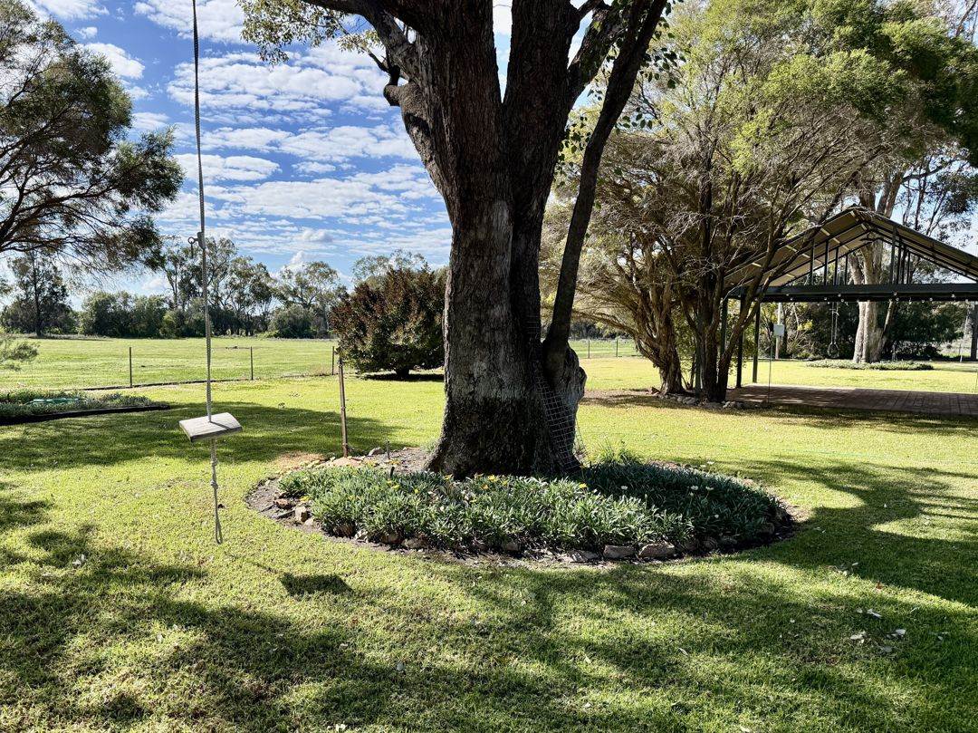 52 Cheecum Road, Moree Auction by Farmbuy.com - image 10
