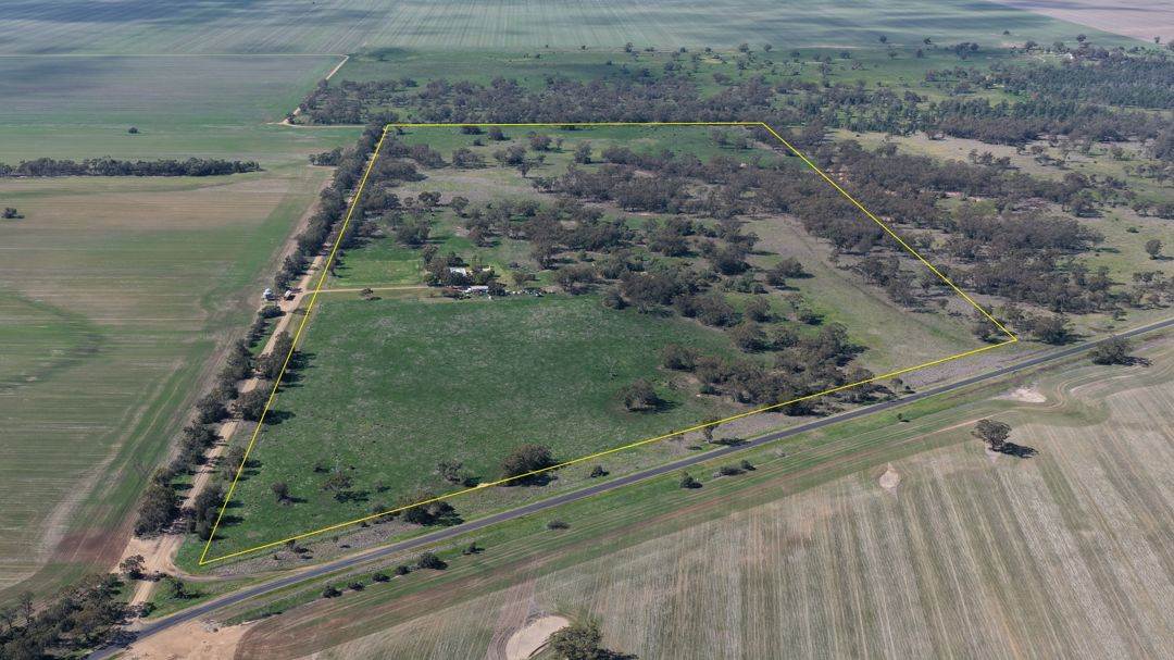 52 Cheecum Road, Moree Auction by Farmbuy.com - image 4