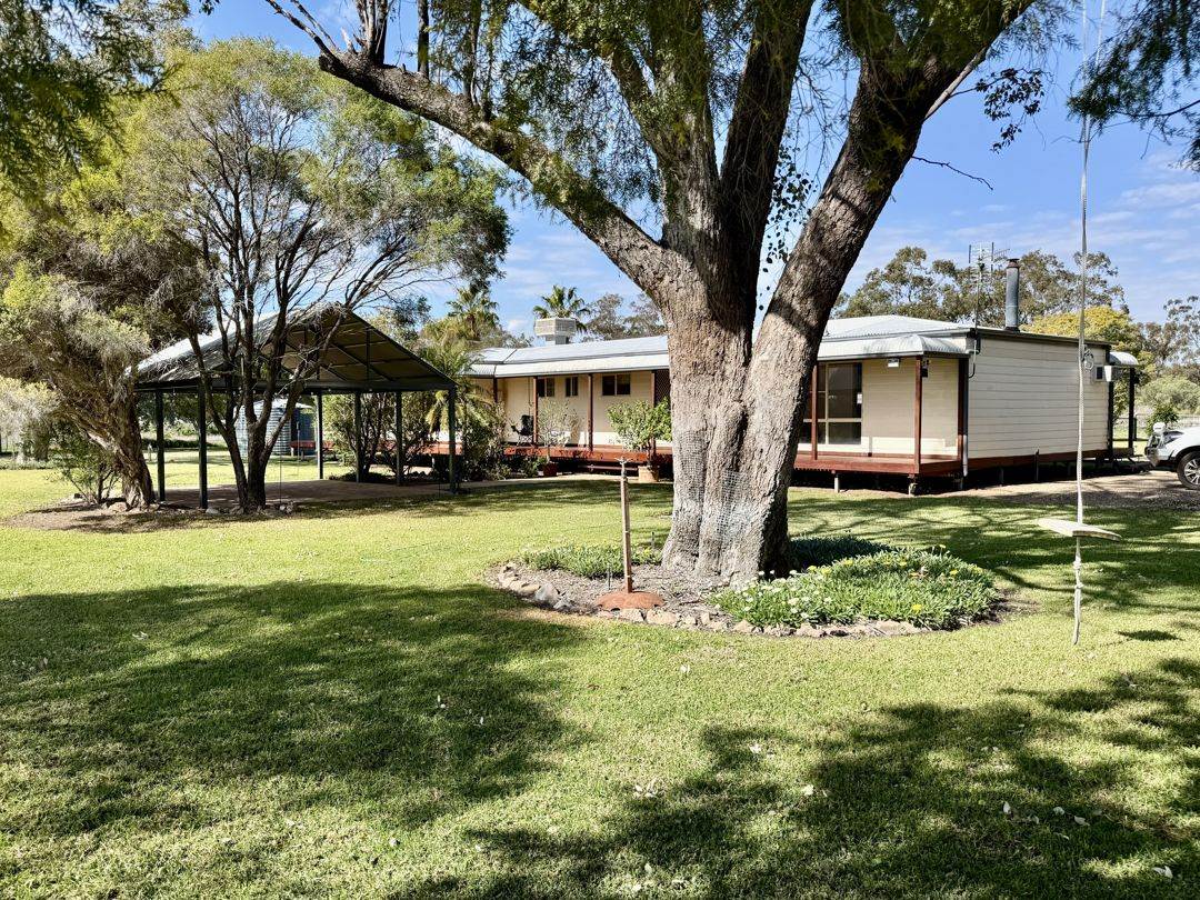 52 Cheecum Road, Moree Auction by Farmbuy.com - image 5