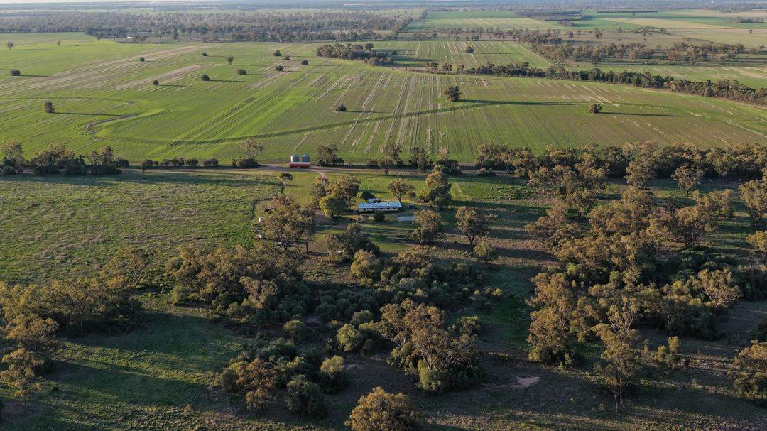 52 Cheecum Road, Moree Auction by Farmbuy.com - image 24