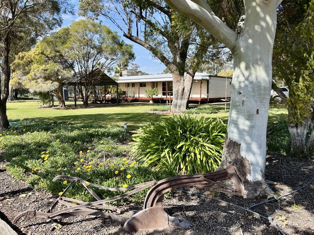 52 Cheecum Road, Moree Auction by Farmbuy.com - image 31