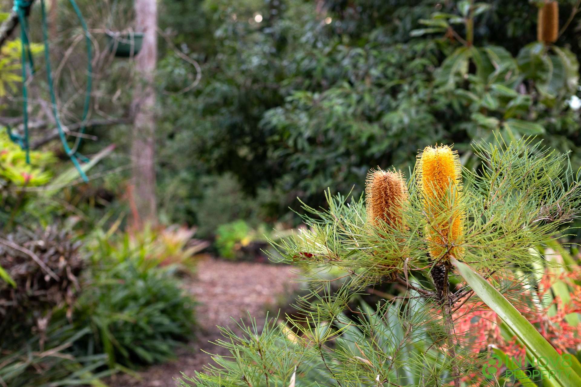 13 Lindale Court, Cashmere For Sale by Farmbuy.com - image 34