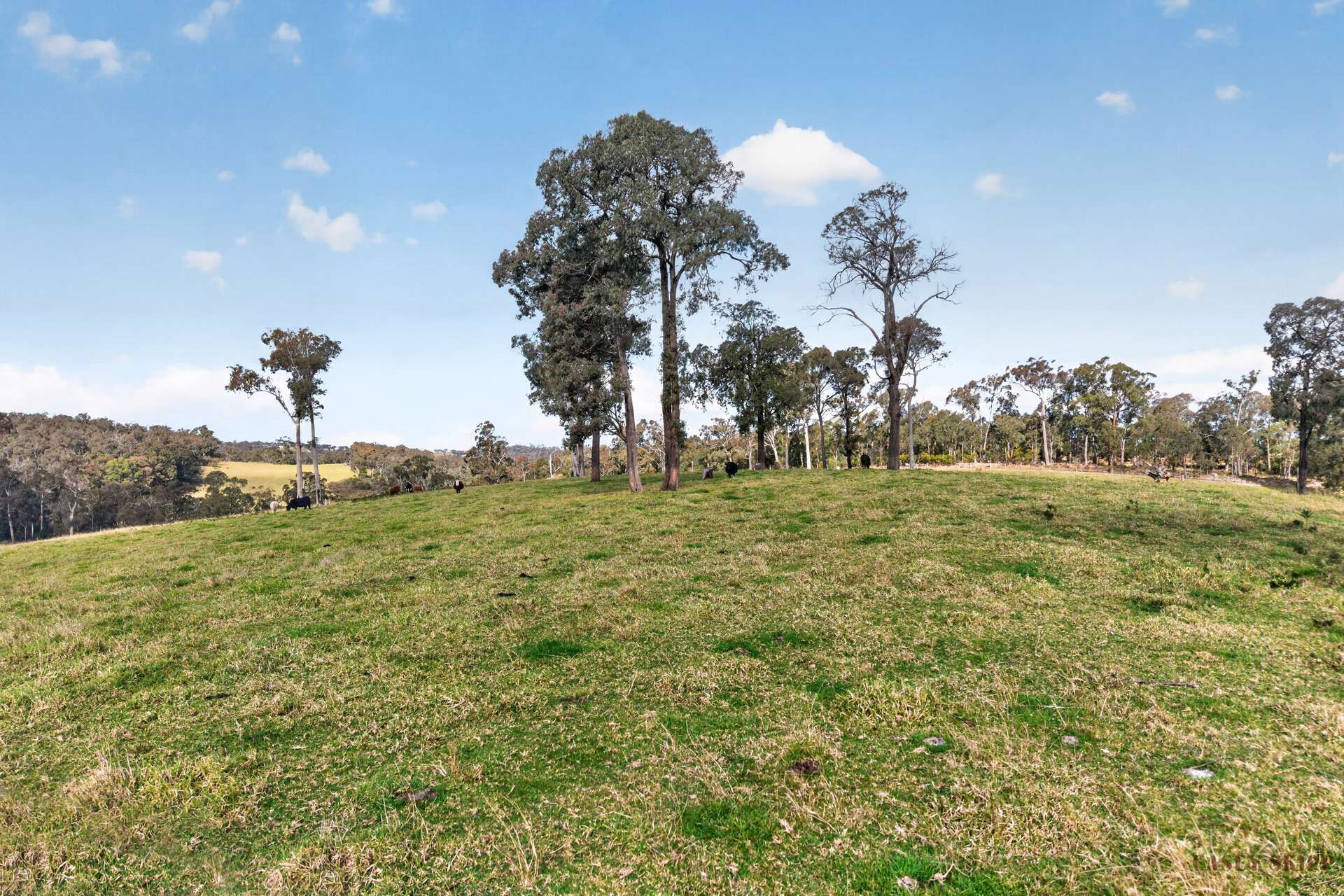 940 Orrs Road, Clifton Creek For Sale by Farmbuy.com - image 8
