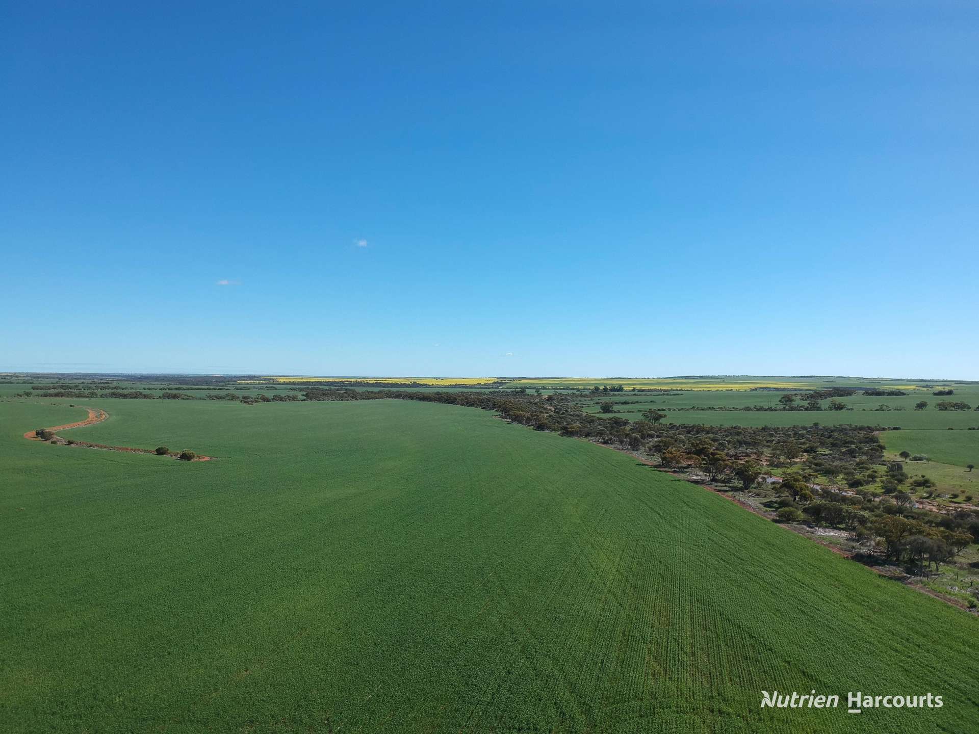 2174 Nanekine Road, Mingenew For Sale by Farmbuy.com - image 20