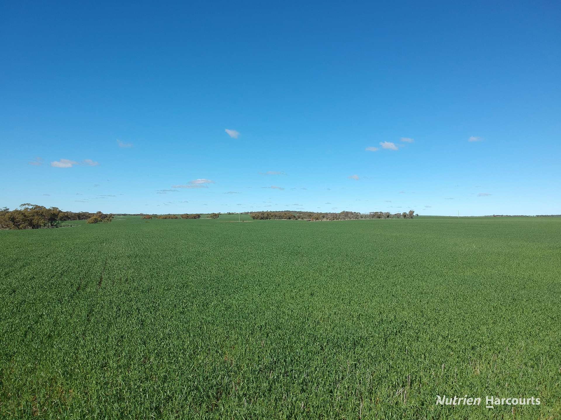 2174 Nanekine Road, Mingenew For Sale by Farmbuy.com - image 8