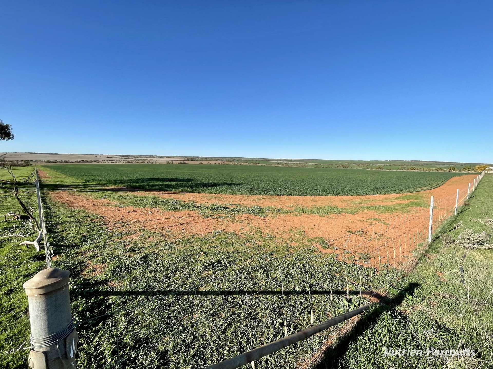 2174 Nanekine Road, Mingenew For Sale by Farmbuy.com - image 12
