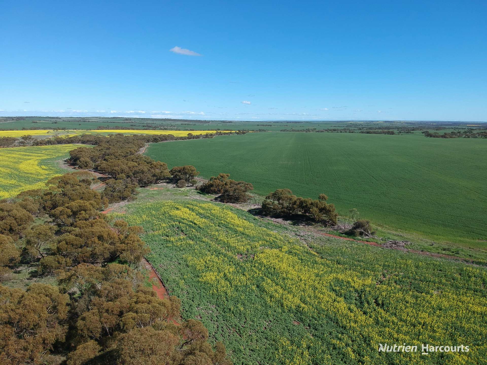 2174 Nanekine Road, Mingenew For Sale by Farmbuy.com - image 6