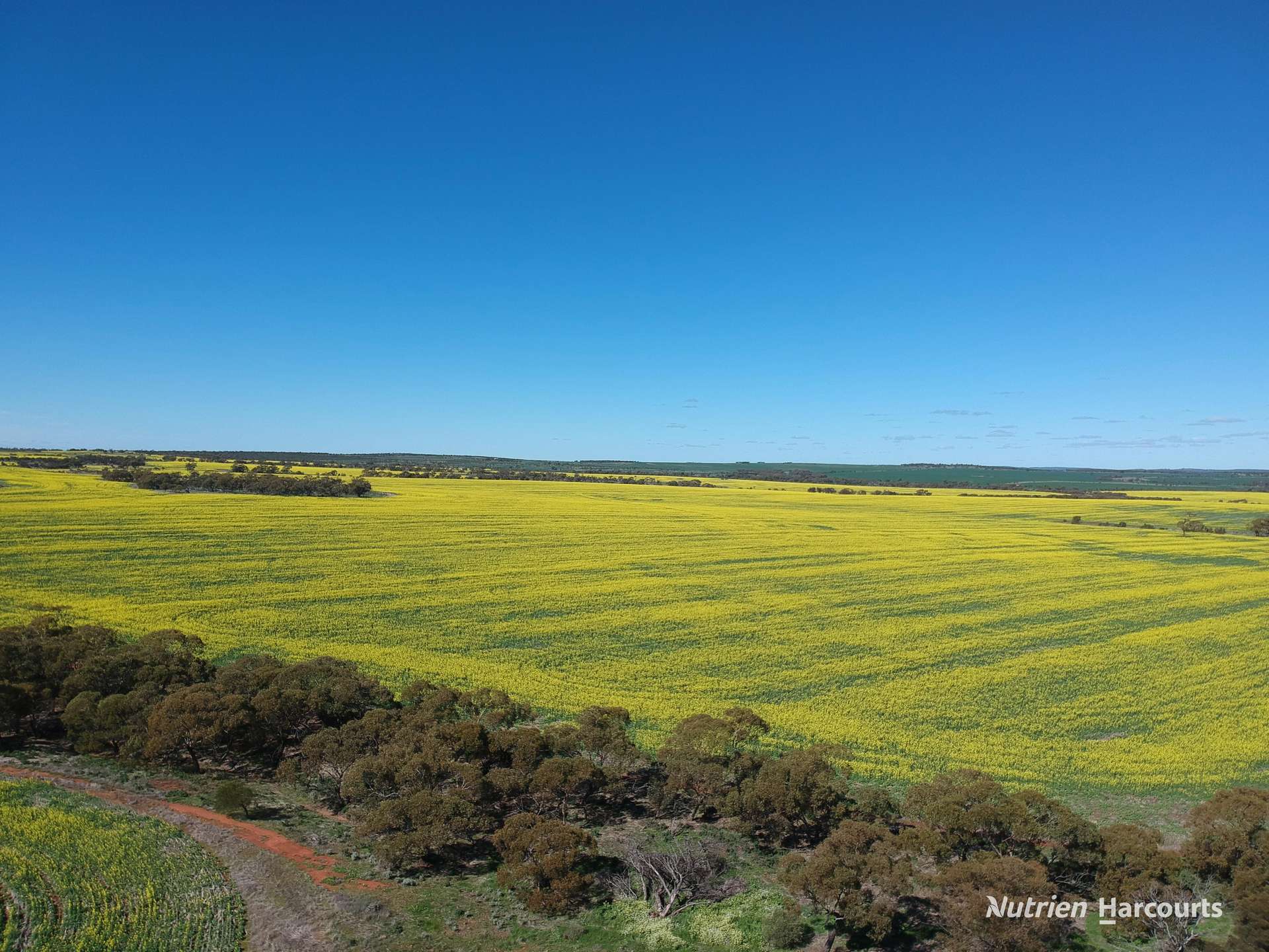 2174 Nanekine Road, Mingenew For Sale by Farmbuy.com - image 5