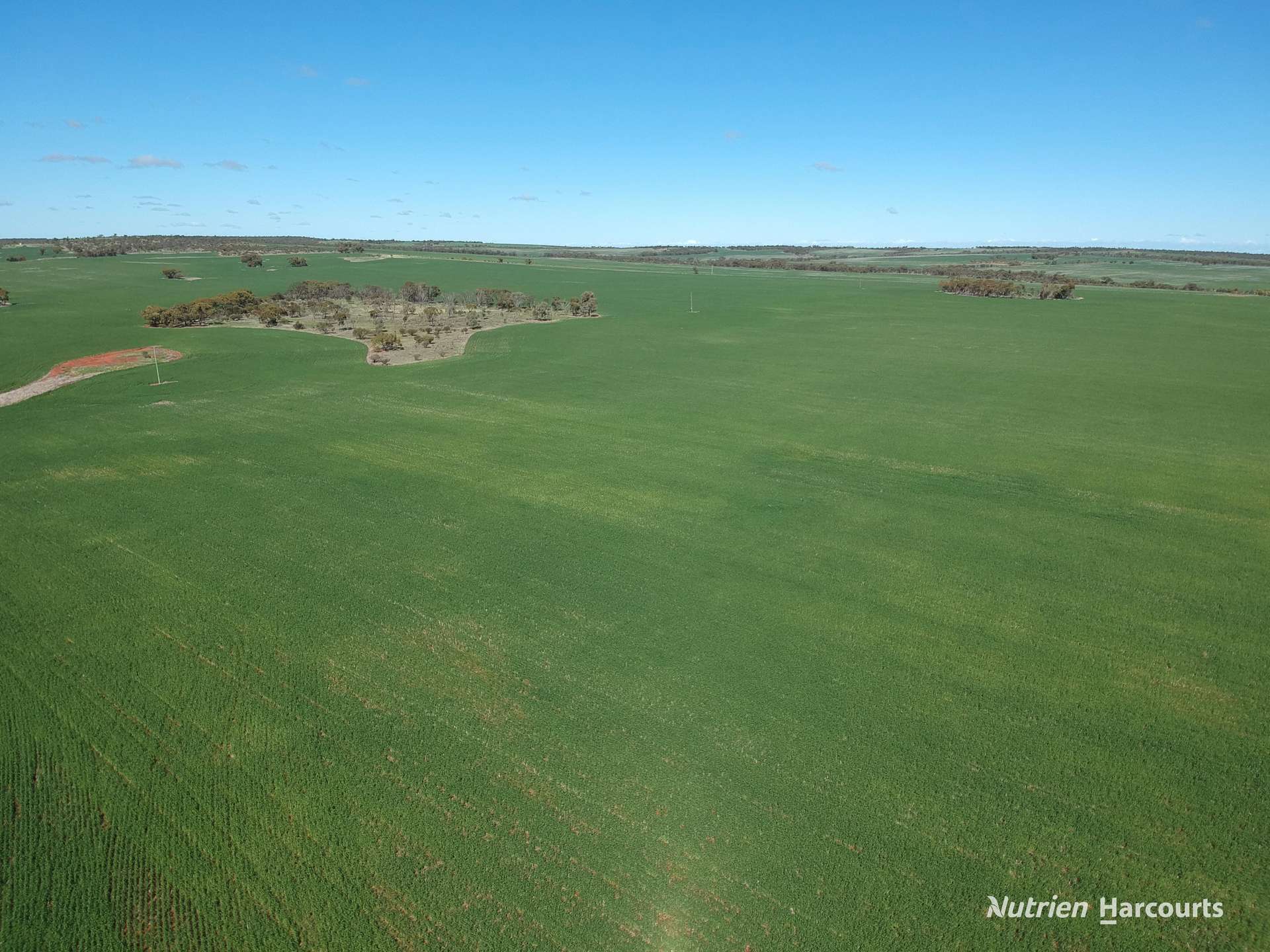 2174 Nanekine Road, Mingenew For Sale by Farmbuy.com - image 19