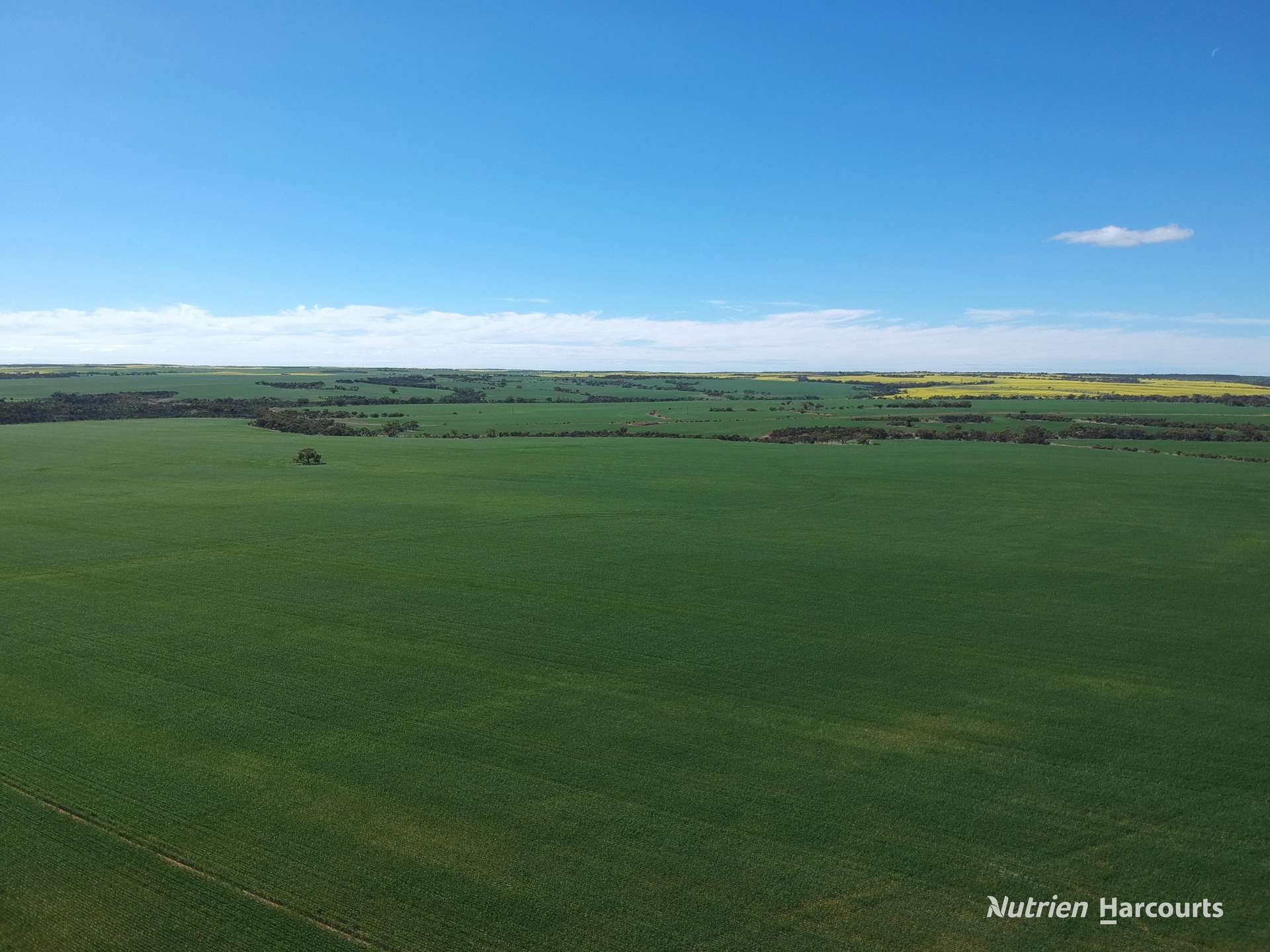 2174 Nanekine Road, Mingenew For Sale by Farmbuy.com - image 21