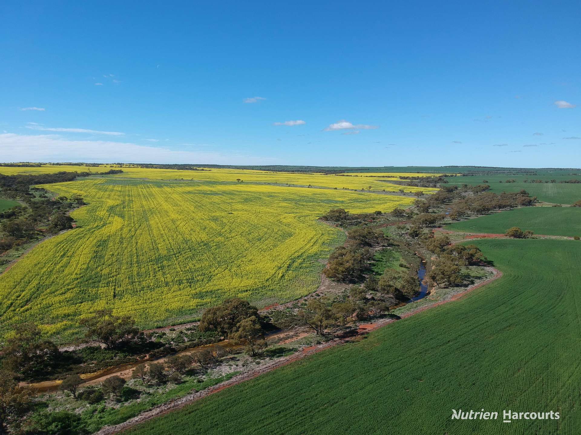 2174 Nanekine Road, Mingenew For Sale by Farmbuy.com - image 10