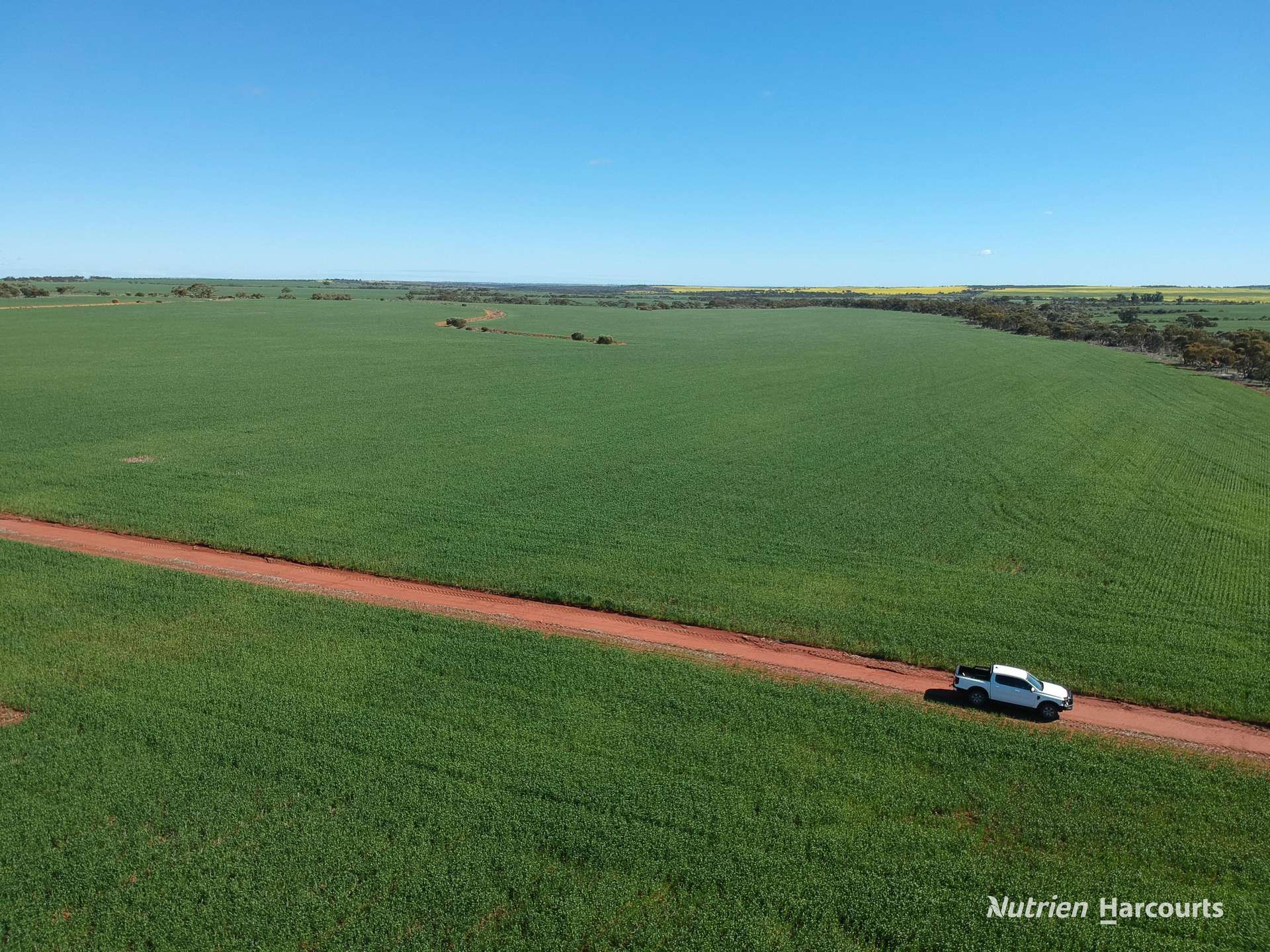 2174 Nanekine Road, Mingenew For Sale by Farmbuy.com - image 3