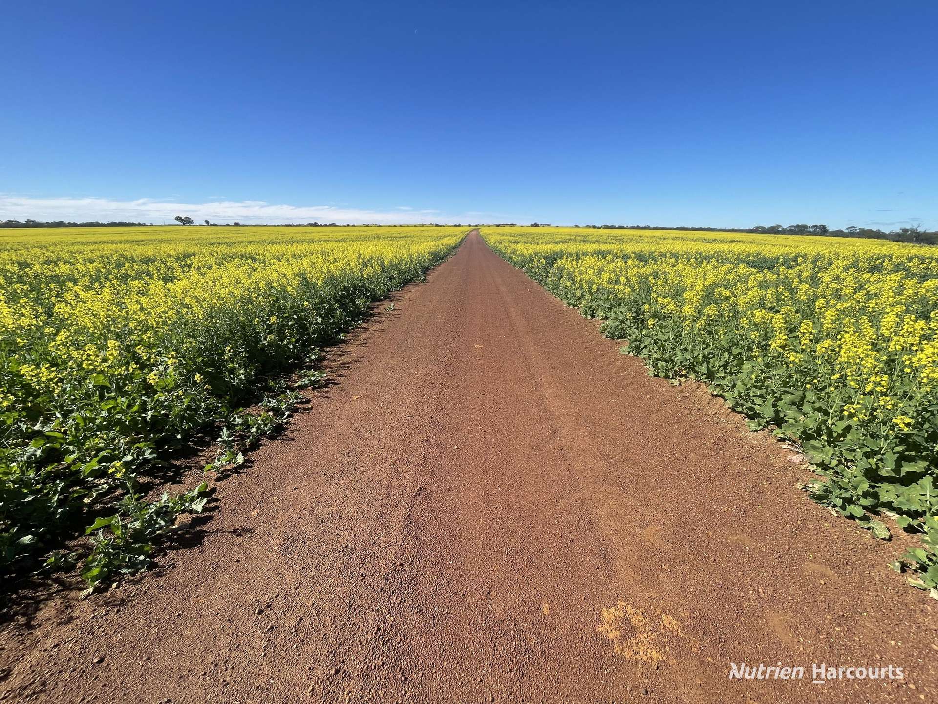 2174 Nanekine Road, Mingenew For Sale by Farmbuy.com - image 4