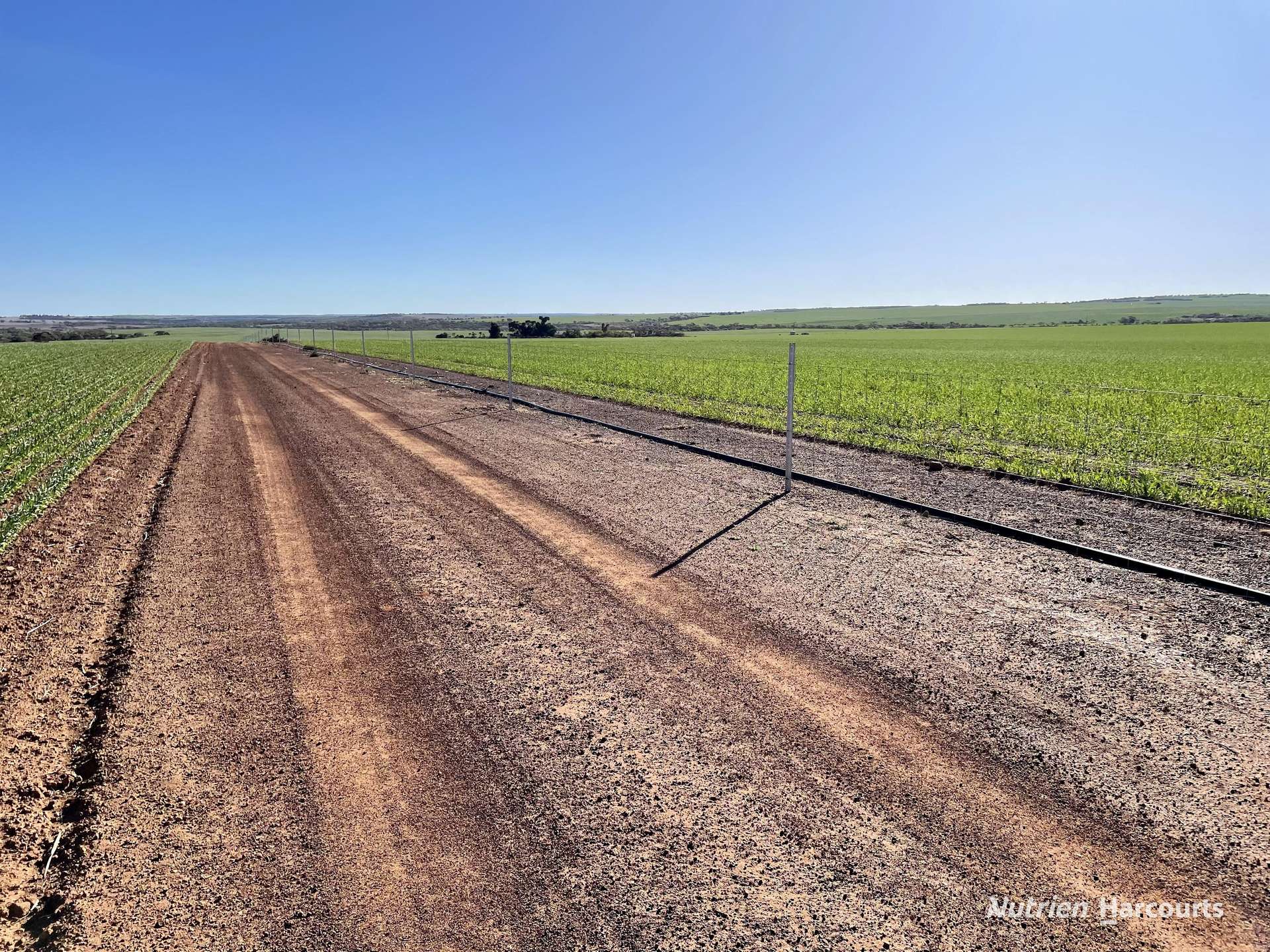 2174 Nanekine Road, Mingenew For Sale by Farmbuy.com - image 11