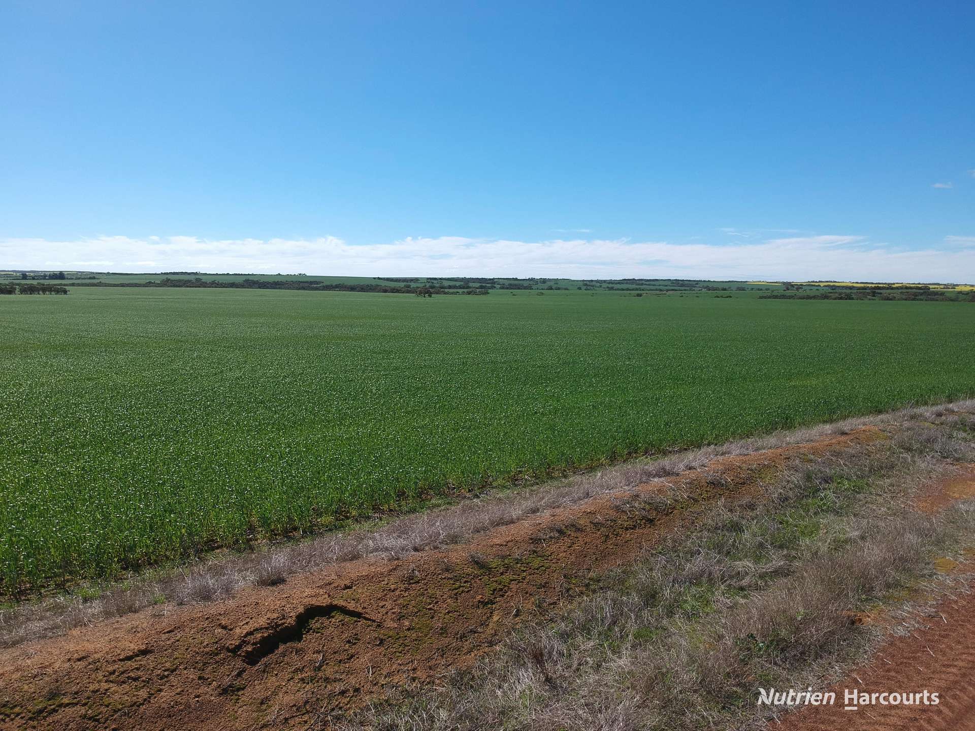 2174 Nanekine Road, Mingenew For Sale by Farmbuy.com - image 22