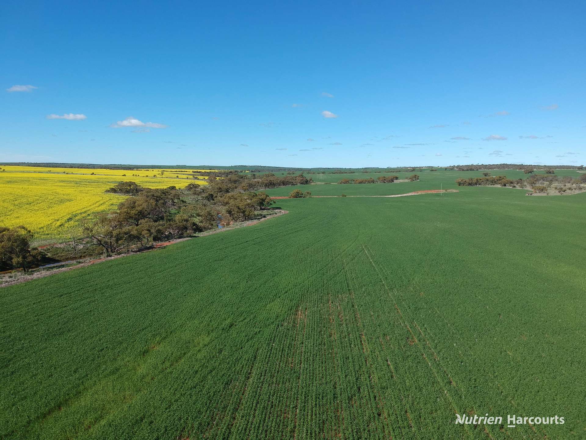 2174 Nanekine Road, Mingenew For Sale by Farmbuy.com - image 2