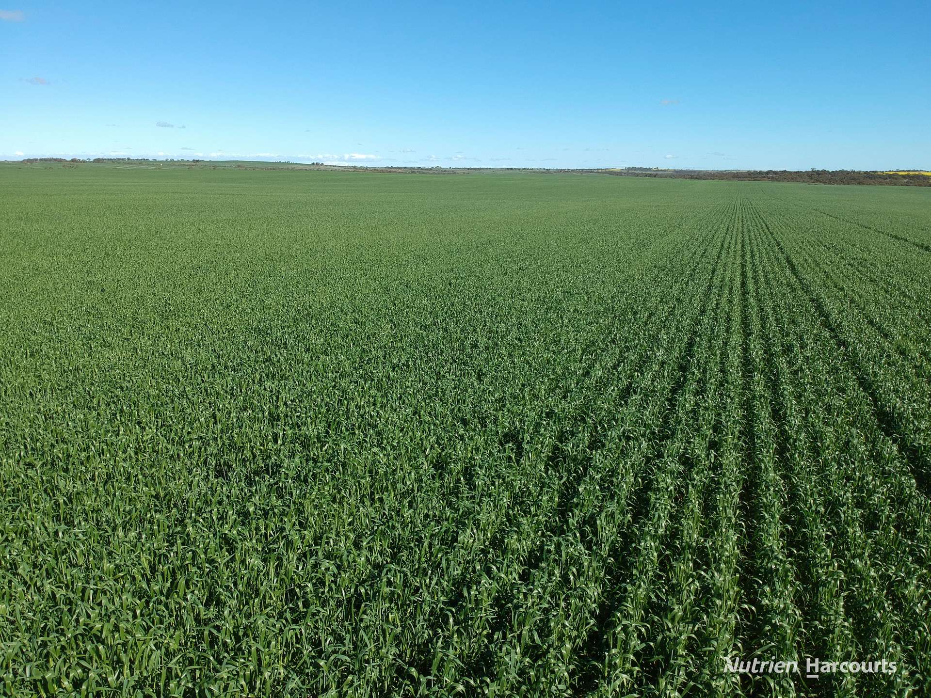 2174 Nanekine Road, Mingenew For Sale by Farmbuy.com - image 1