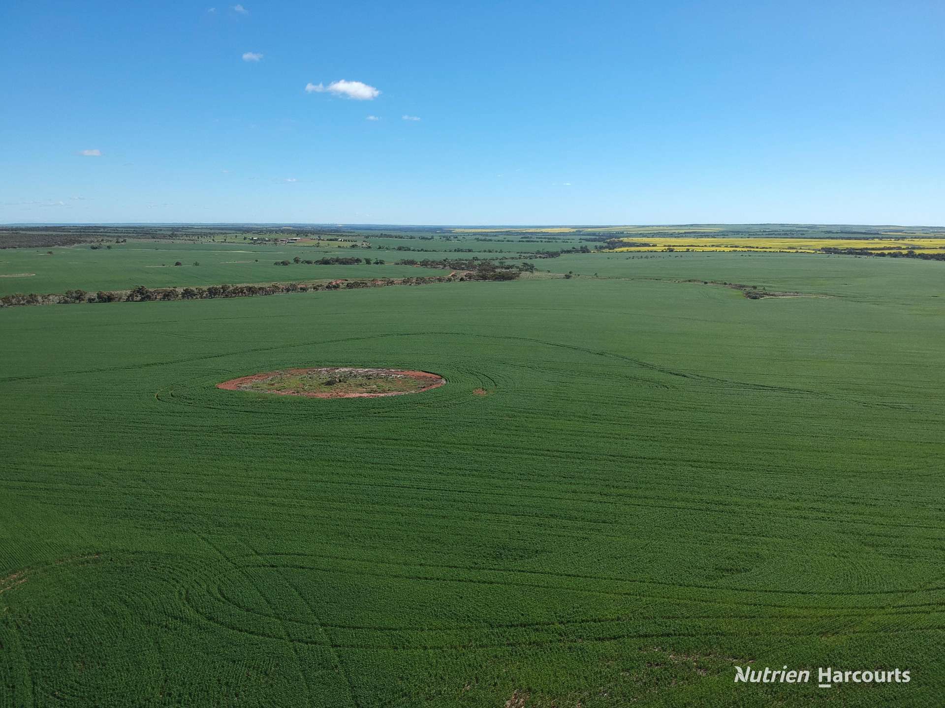 2174 Nanekine Road, Mingenew For Sale by Farmbuy.com - image 9