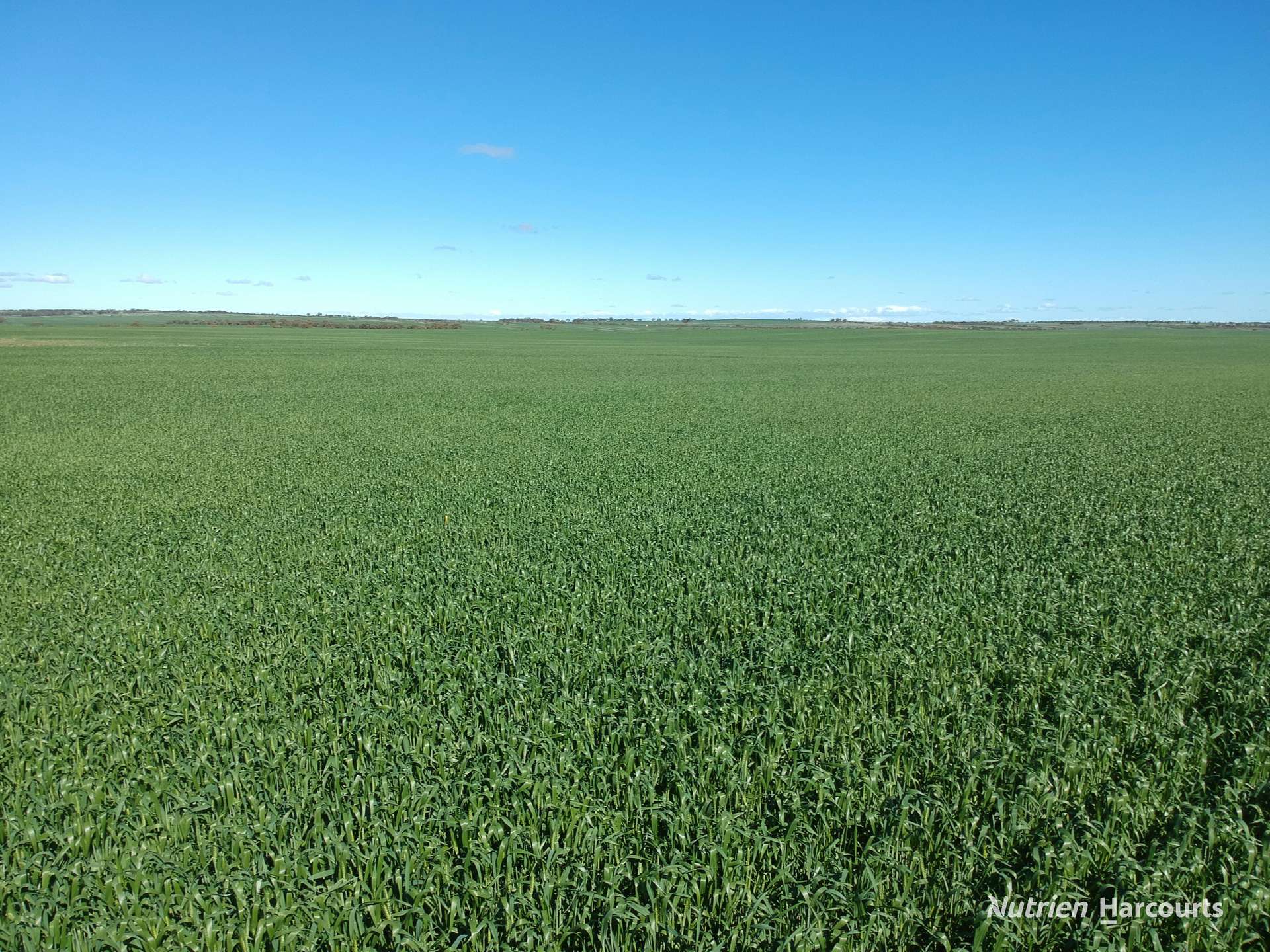 2174 Nanekine Road, Mingenew For Sale by Farmbuy.com - image 29
