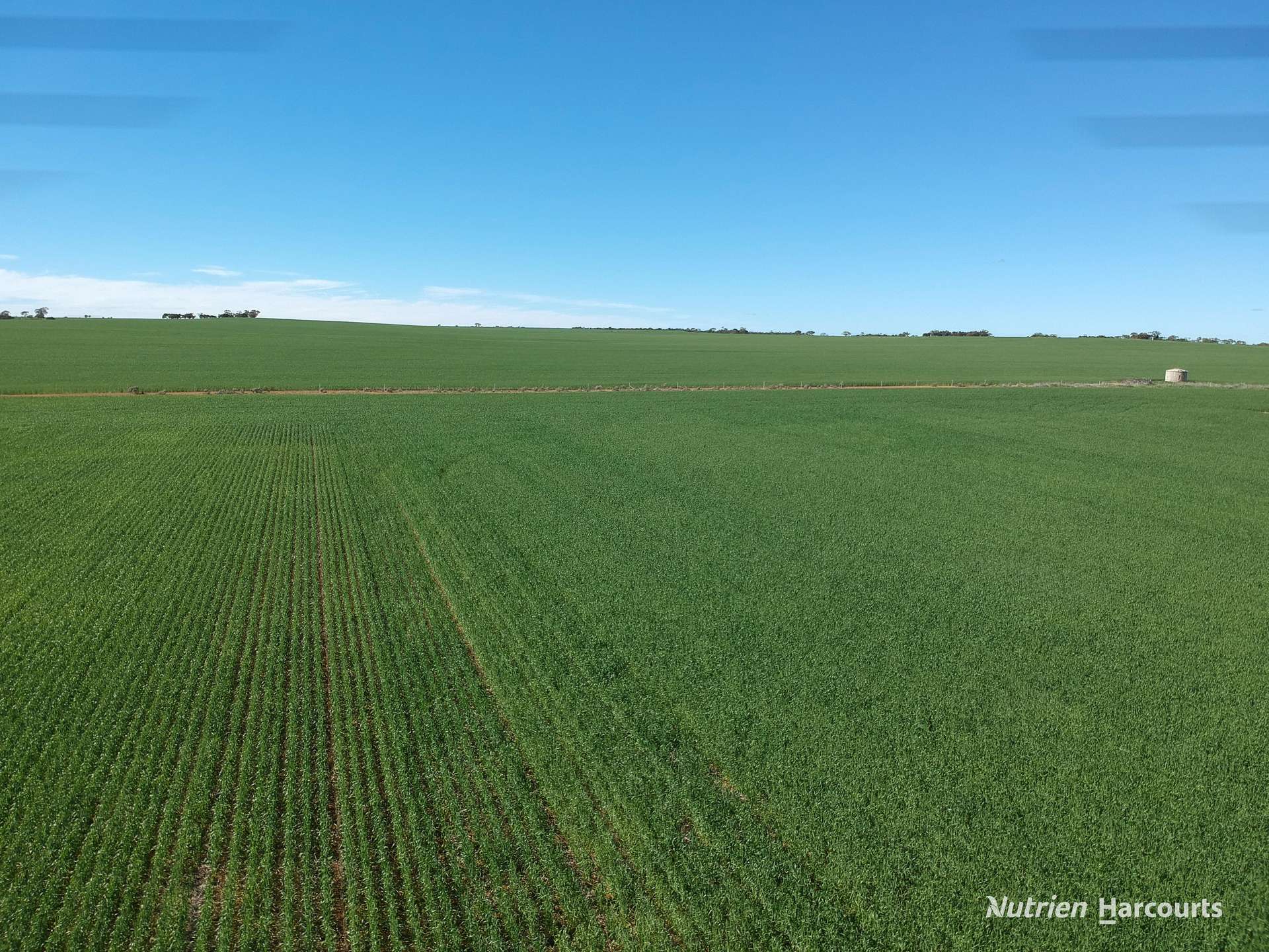 2174 Nanekine Road, Mingenew For Sale by Farmbuy.com - image 30