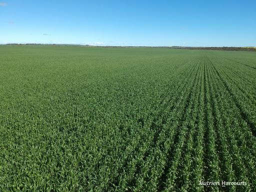2174 Nanekine Road, Mingenew WA 6522