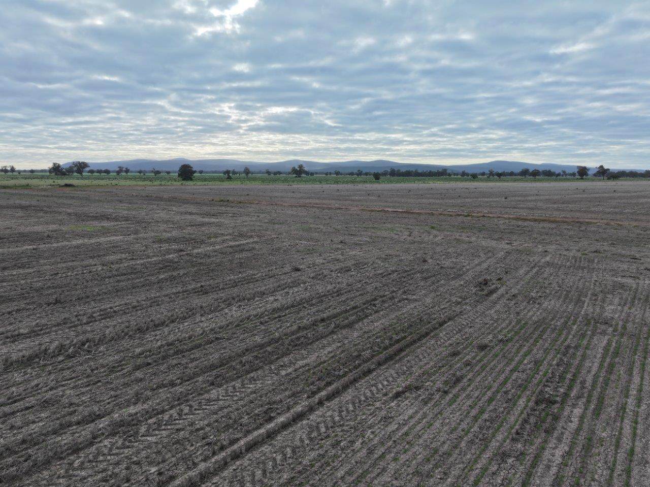 Uliwah Bimbi Caragabal Rd, Grenfell For Sale by Farmbuy.com - image 4