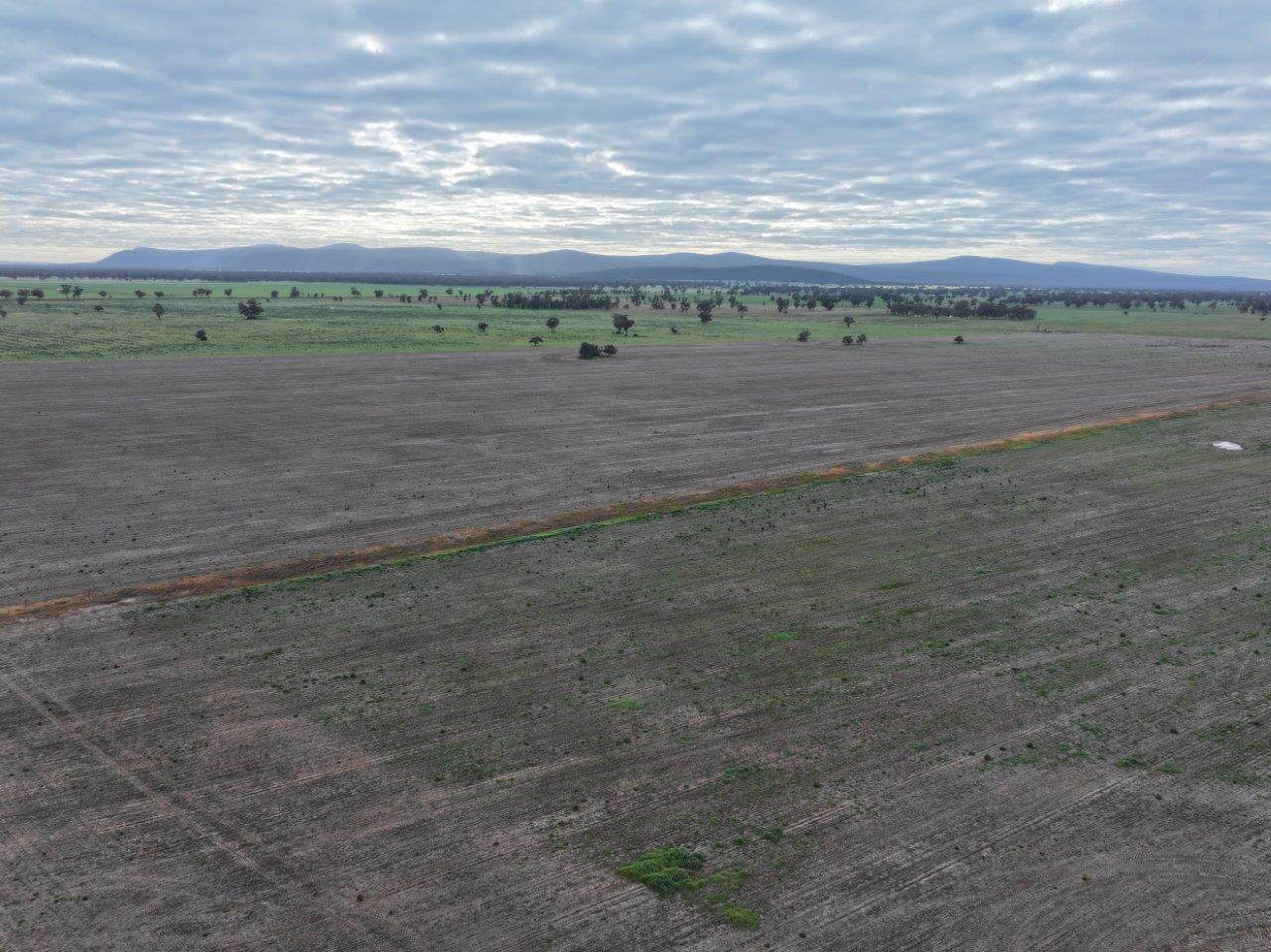 Uliwah Bimbi Caragabal Rd, Grenfell For Sale by Farmbuy.com - image 8