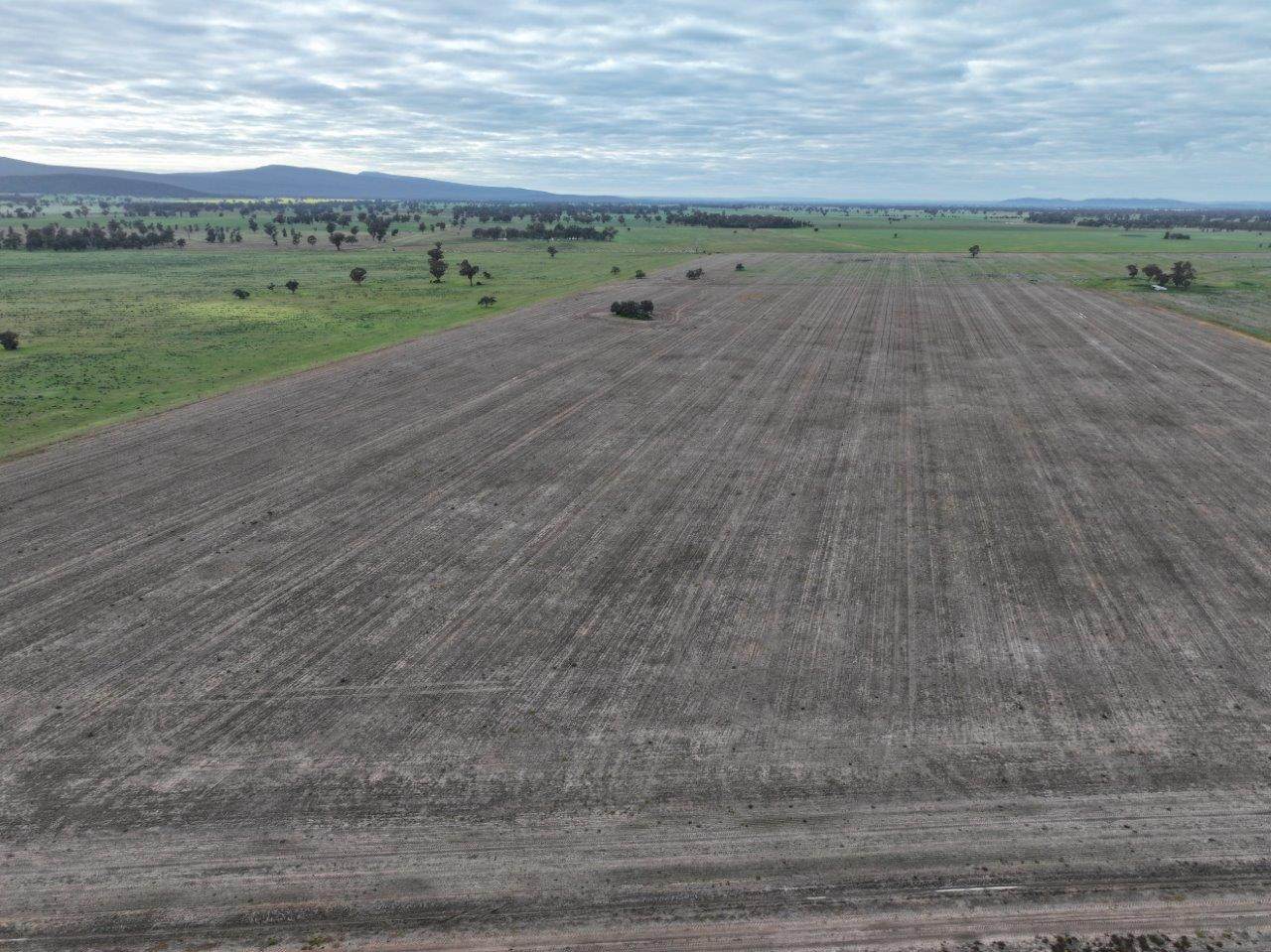 Uliwah Bimbi Caragabal Rd, Grenfell For Sale by Farmbuy.com - image 6