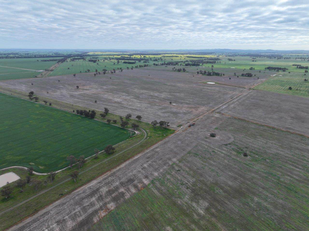 Uliwah Bimbi Caragabal Rd, Grenfell For Sale by Farmbuy.com - image 7