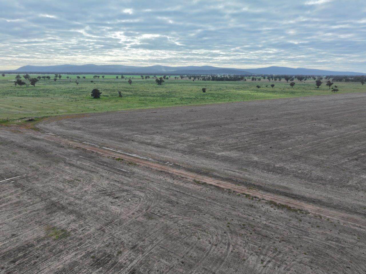 Uliwah Bimbi Caragabal Rd, Grenfell For Sale by Farmbuy.com - image 5