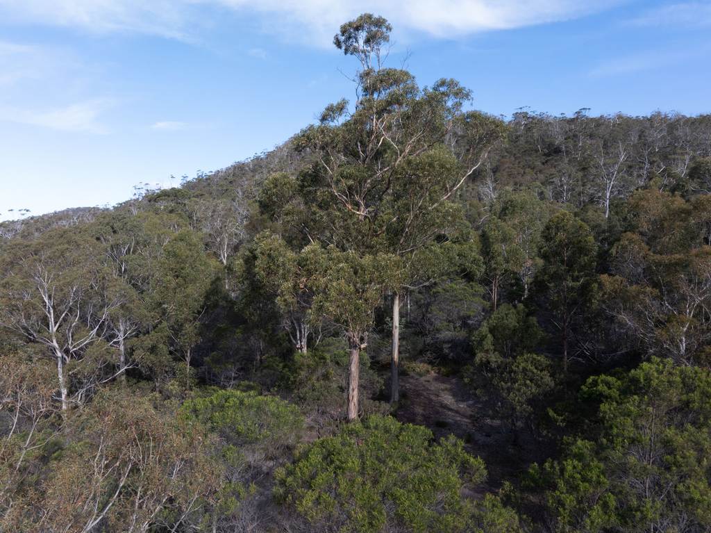Lot 4&comma; 254 Harveys Farm Road, Bicheno TAS 7215
