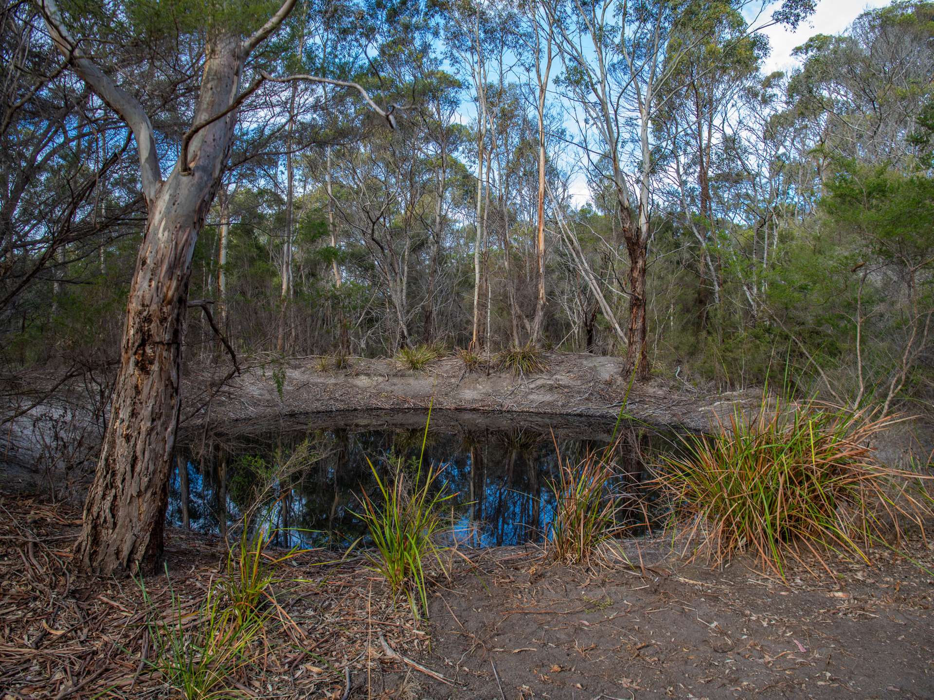 Lot 4, 254 Harveys Farm Road, Bicheno For Sale by Farmbuy.com - image 3
