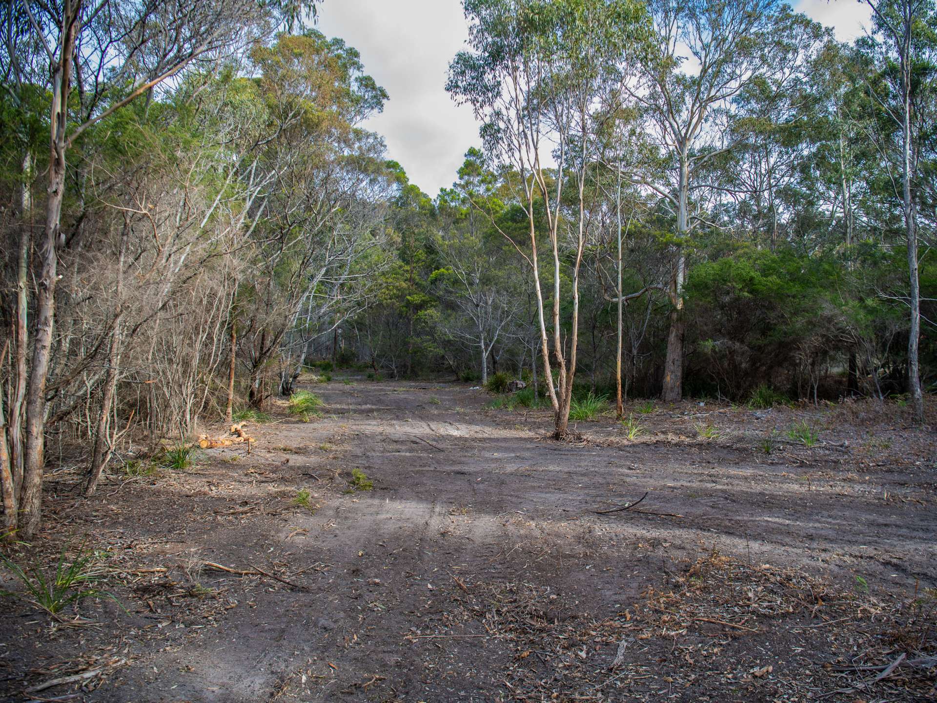 Lot 4, 254 Harveys Farm Road, Bicheno Sold by Farmbuy.com - image 11