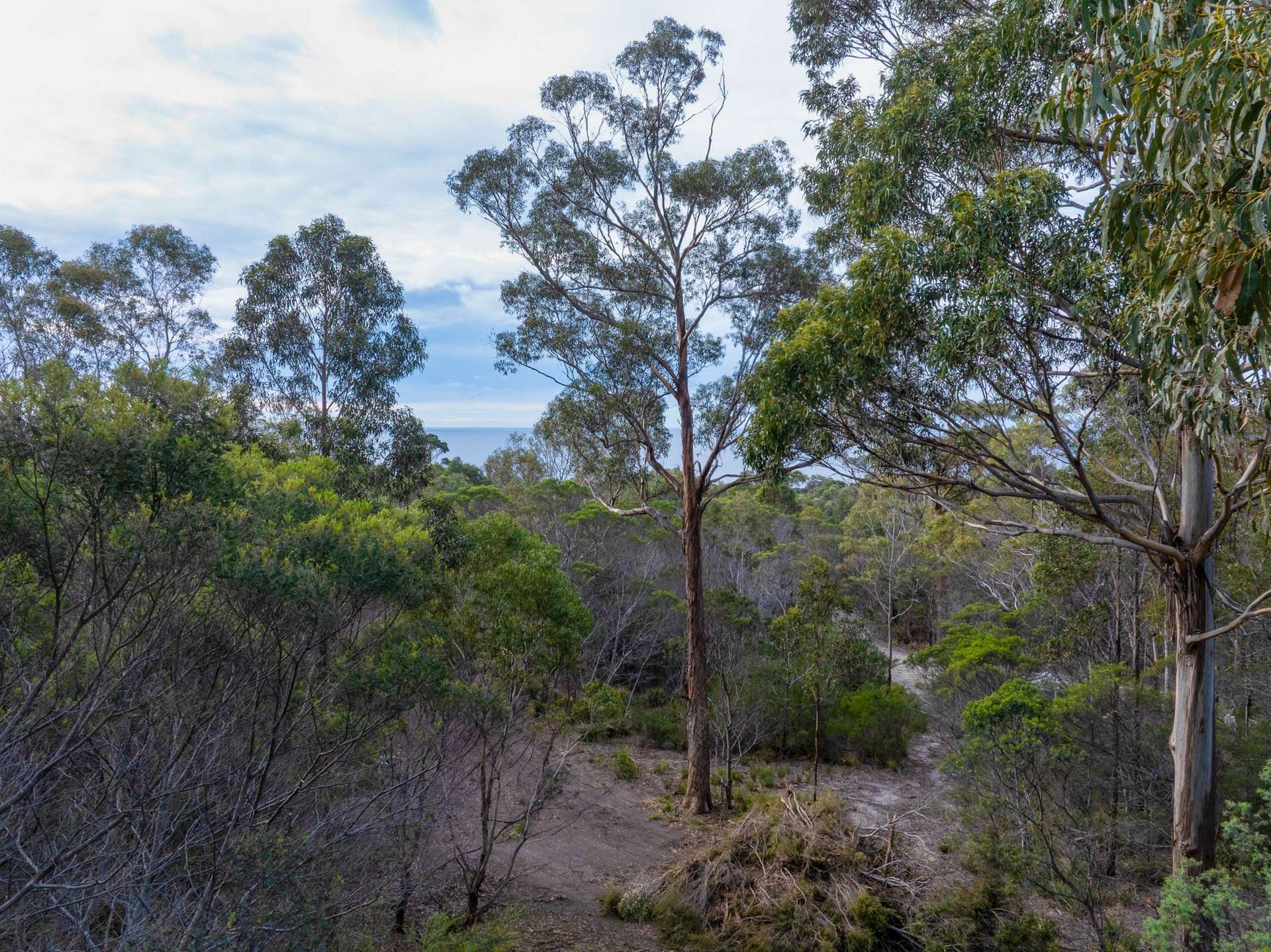 Lot 4, 254 Harveys Farm Road, Bicheno For Sale by Farmbuy.com - image 1