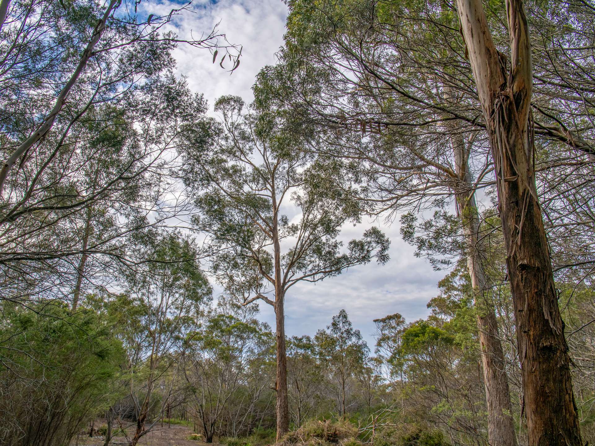 Lot 4, 254 Harveys Farm Road, Bicheno Sold by Farmbuy.com - image 12
