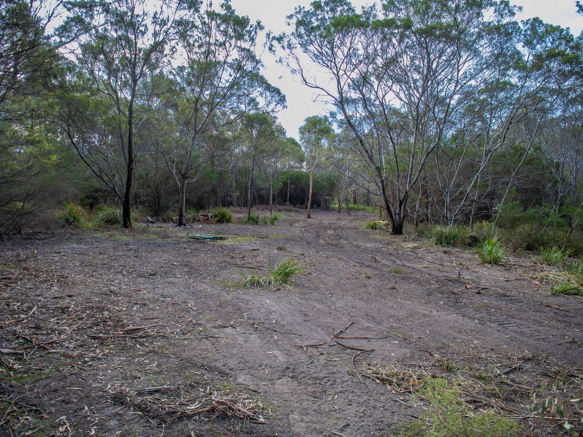 Lot 4, 254 Harveys Farm Road, Bicheno For Sale by Farmbuy.com - image 5