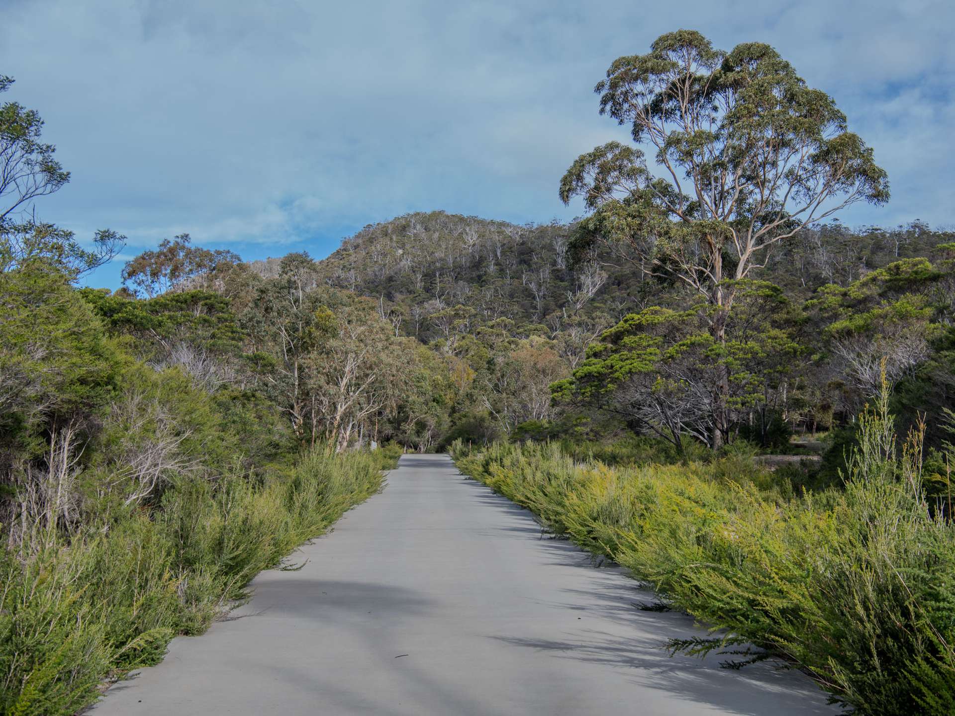 Lot 4, 254 Harveys Farm Road, Bicheno Sold by Farmbuy.com - image 13